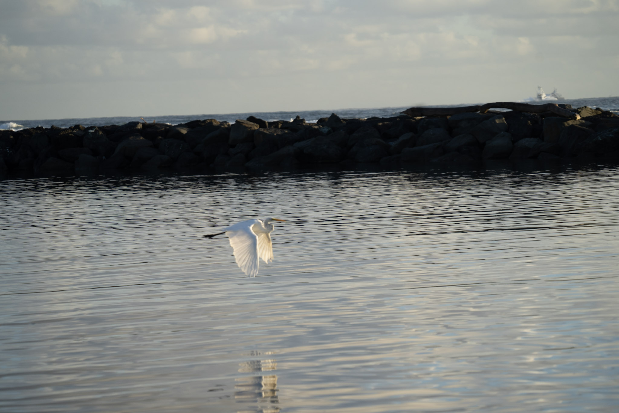 2021-12-21_Isla_de_Cabras - foto 170