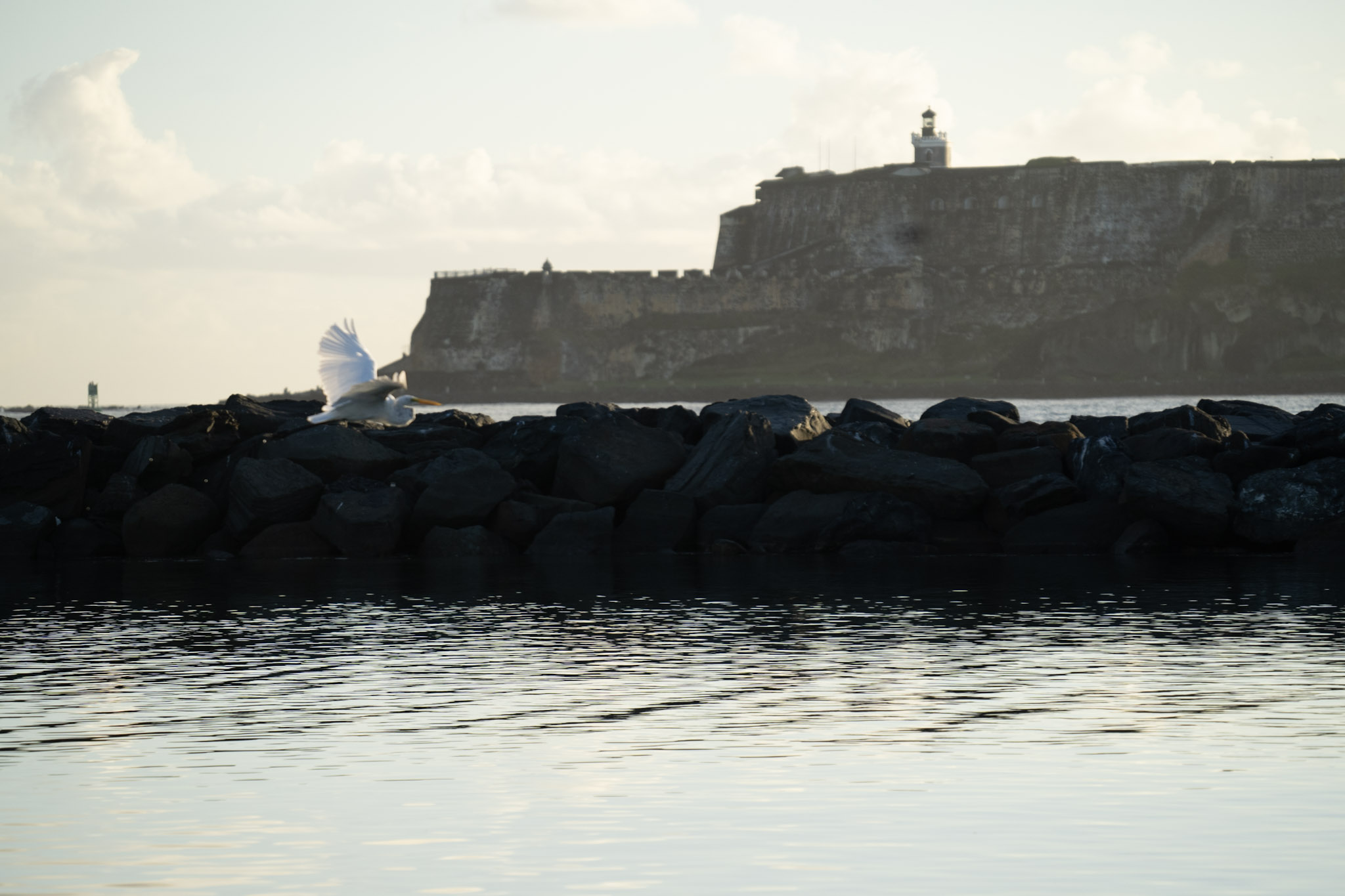 2021-12-21_Isla_de_Cabras - foto 176