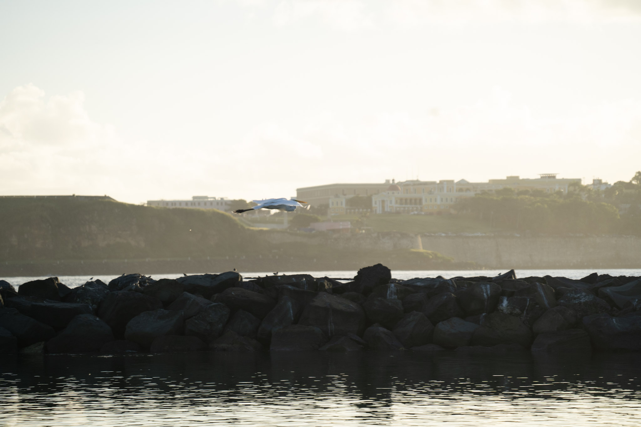 2021-12-21_Isla_de_Cabras - foto 177