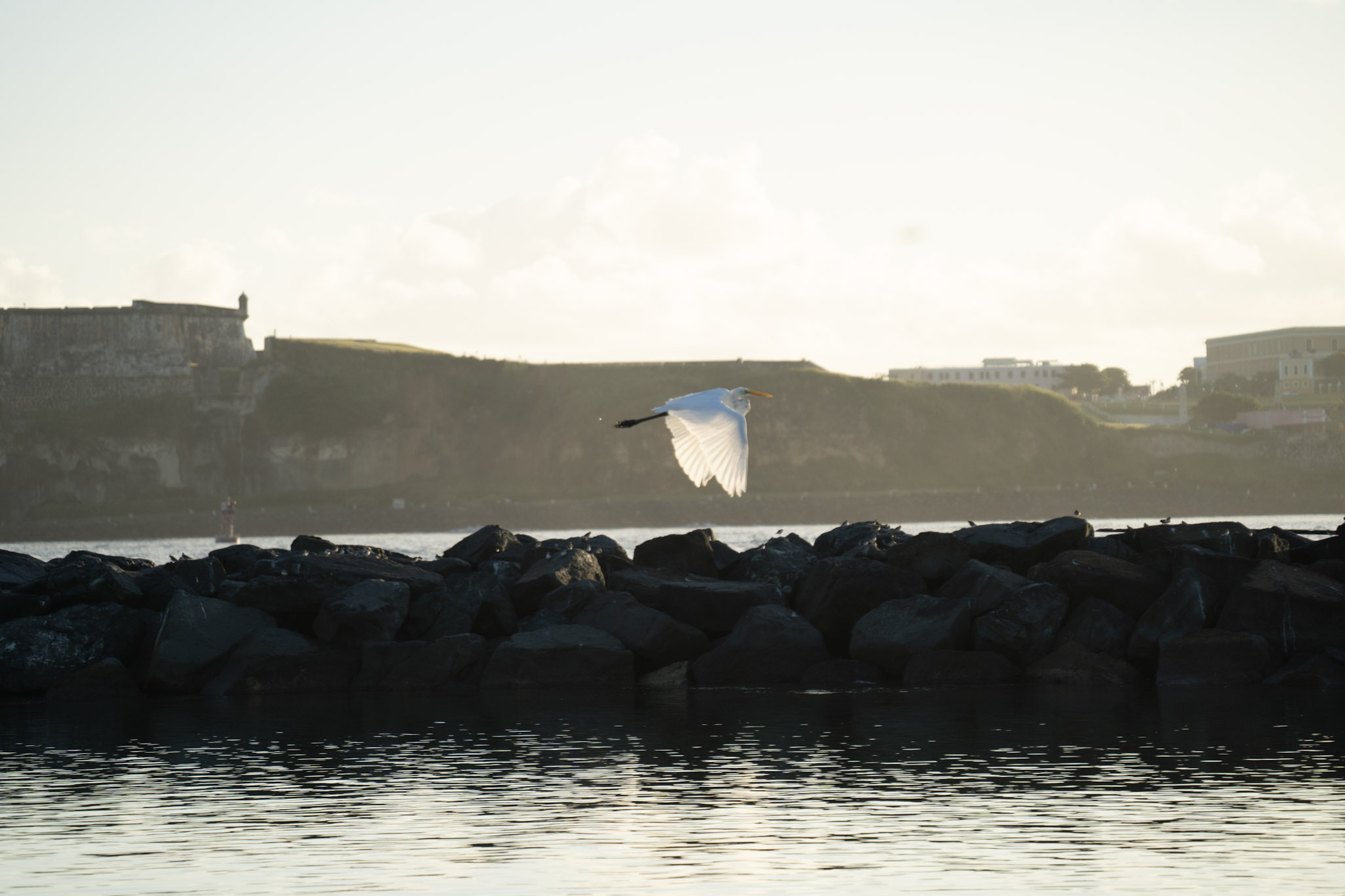 2021-12-21_Isla_de_Cabras - foto 178