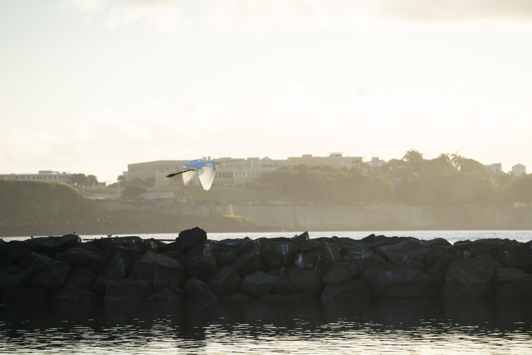 2021-12-21_Isla_de_Cabras - foto 184