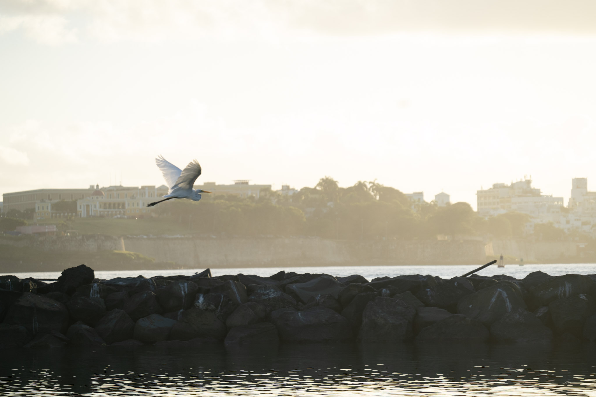 2021-12-21_Isla_de_Cabras - foto 185