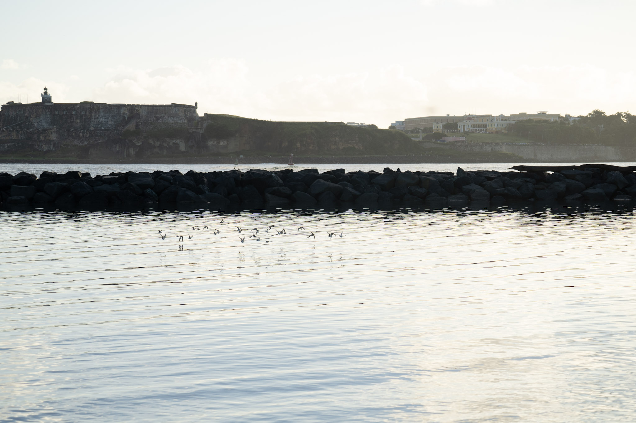 2021-12-21_Isla_de_Cabras - foto 190