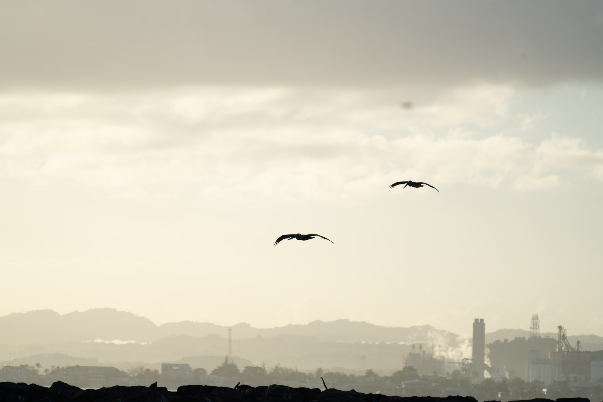 2021-12-21_Isla_de_Cabras - foto 195