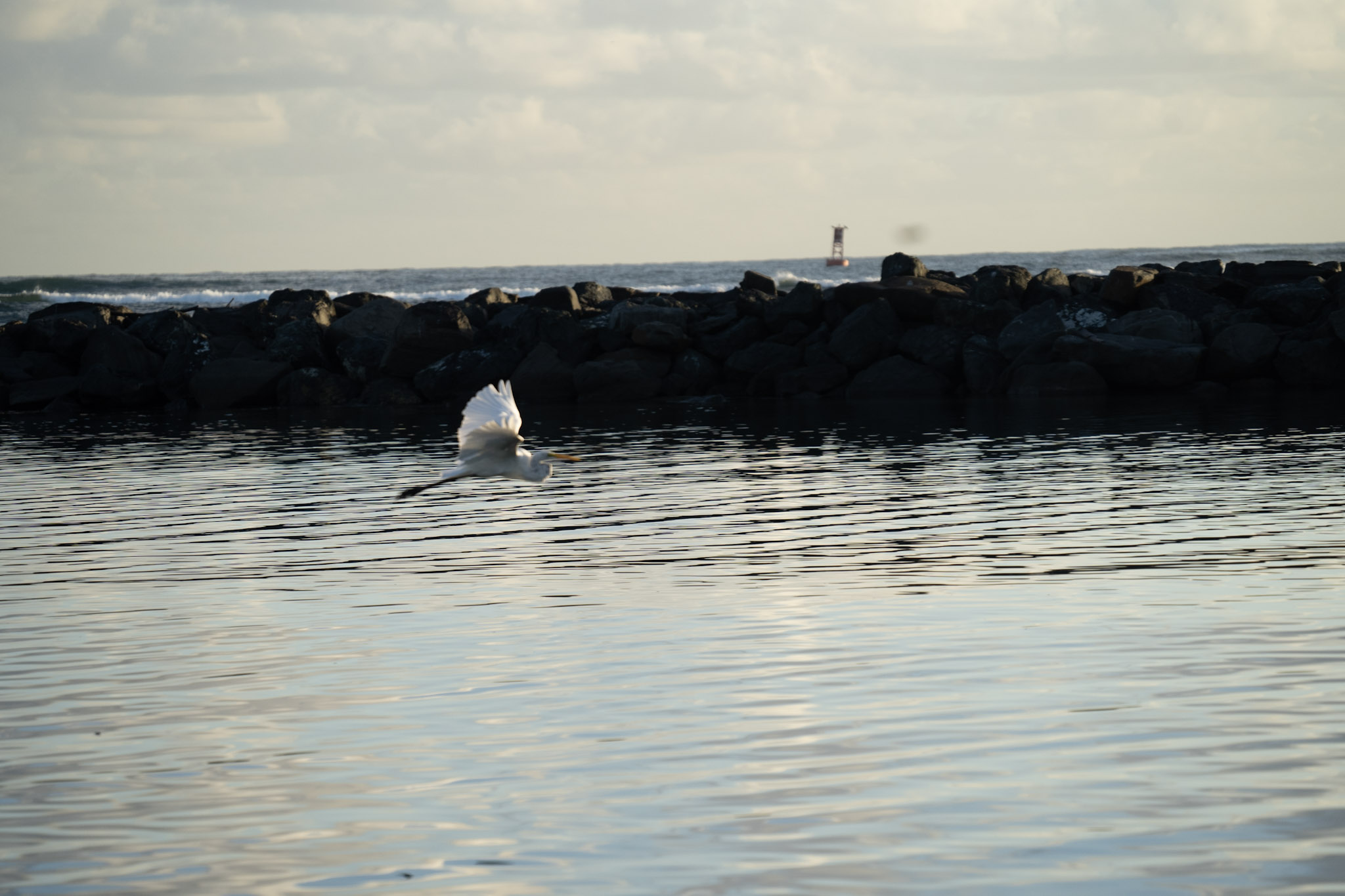 Isla de Cabras - foto 171