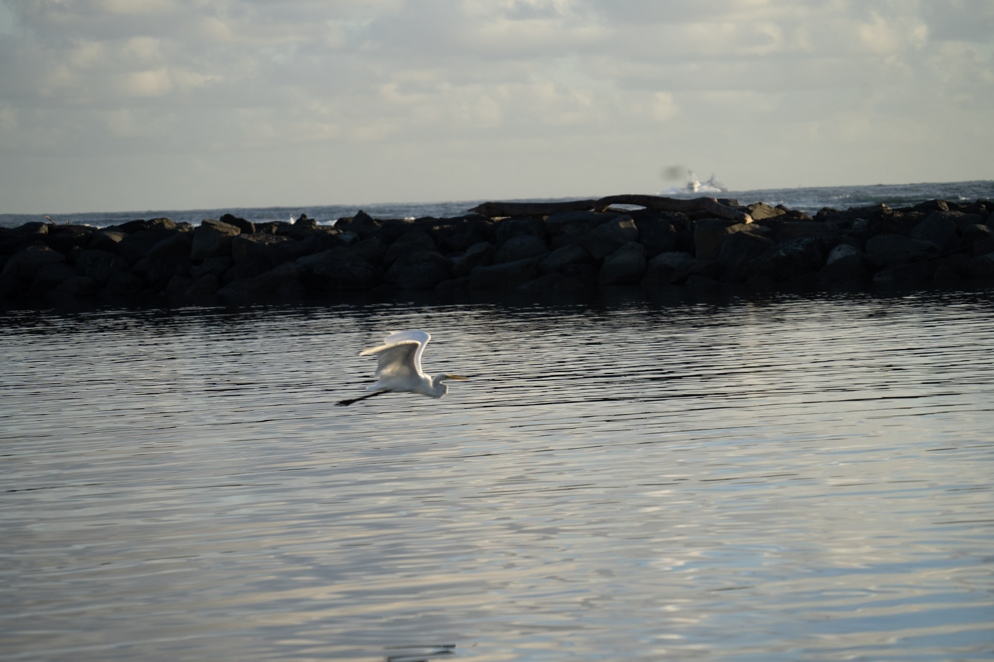 Isla de Cabras - foto 172