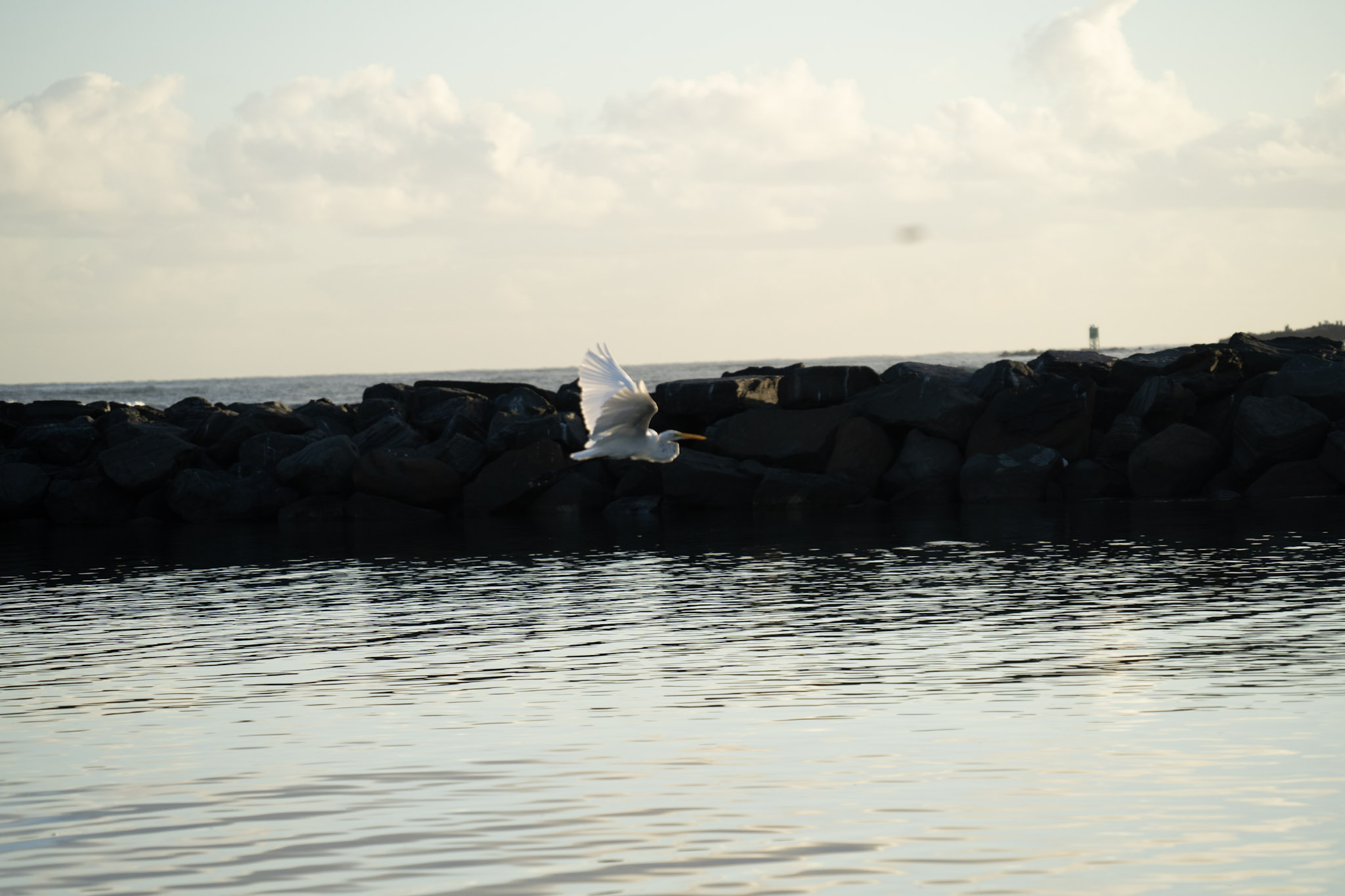 Isla de Cabras - foto 174