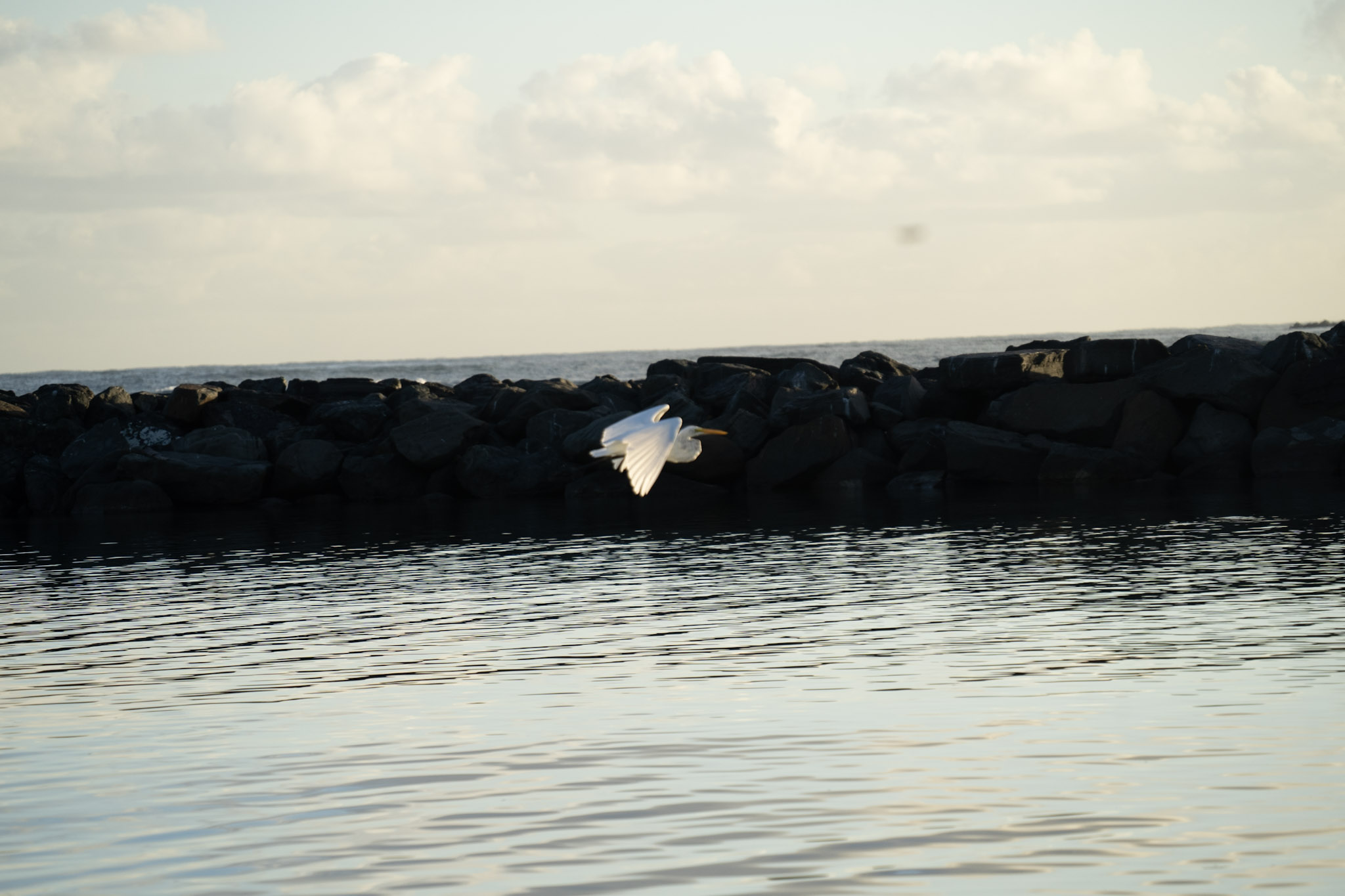 Isla de Cabras - foto 175