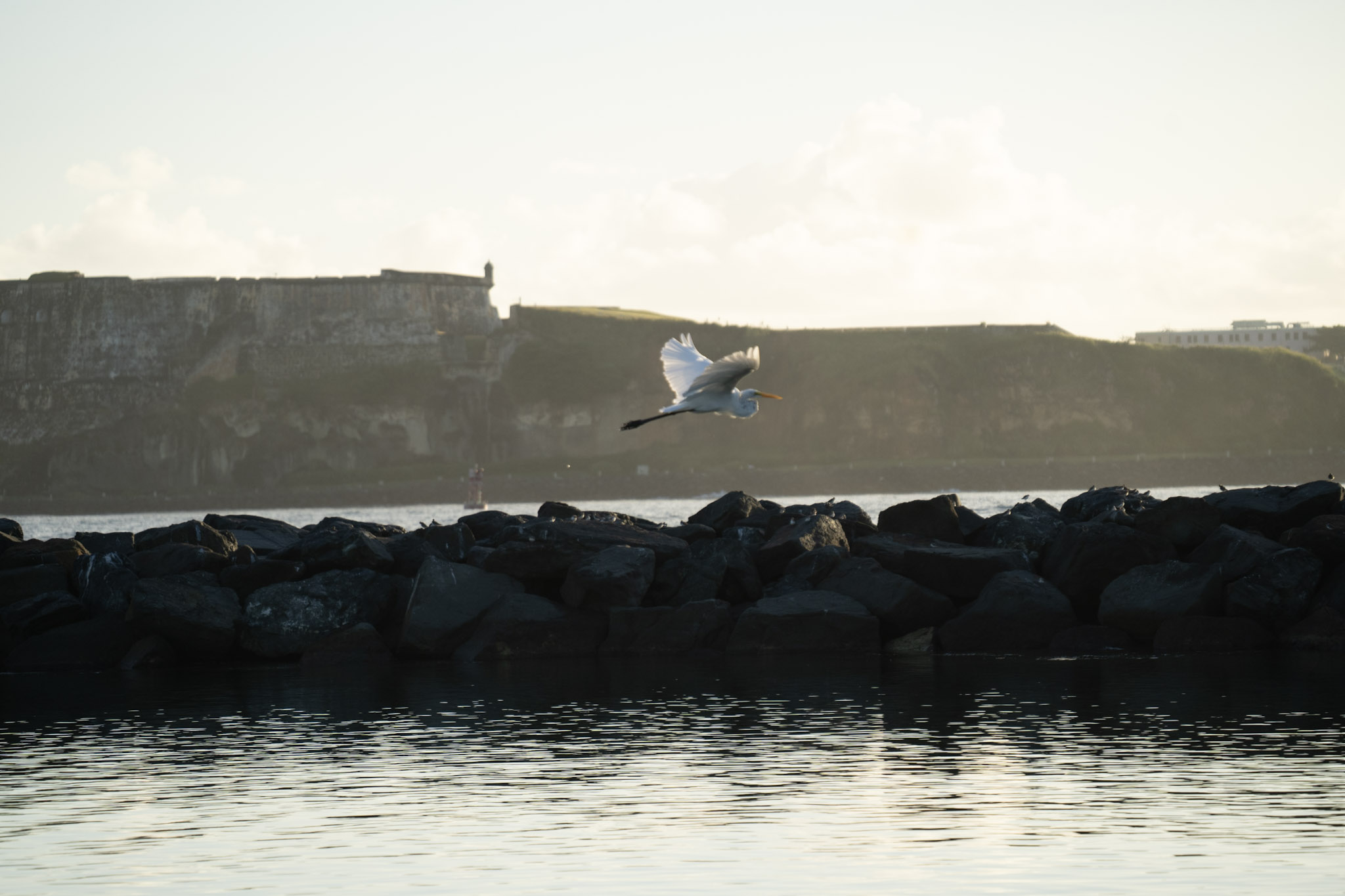 Isla de Cabras - foto 179