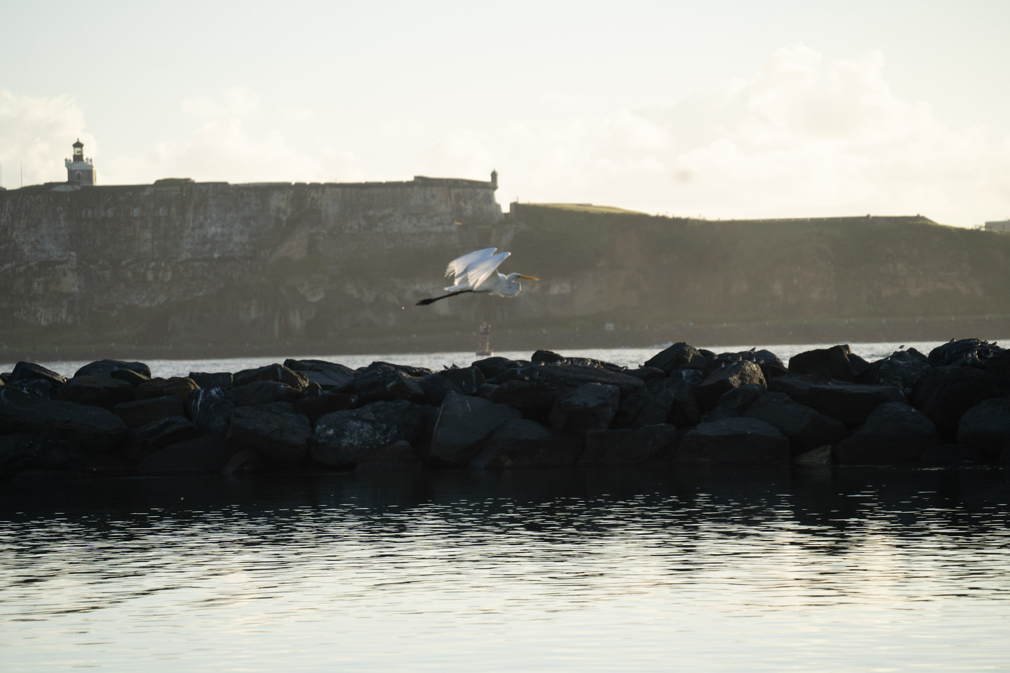 Isla de Cabras - foto 180