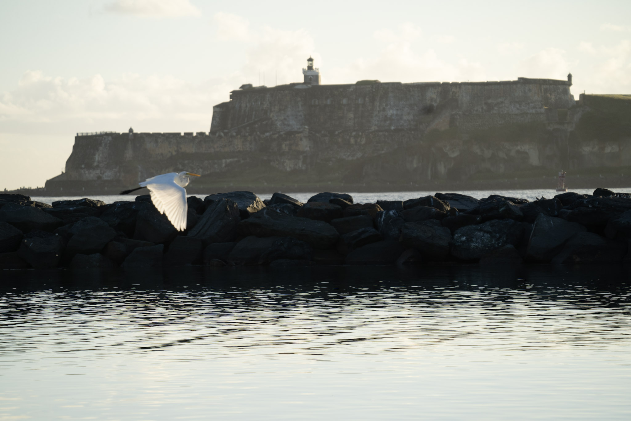 Isla de Cabras - foto 181