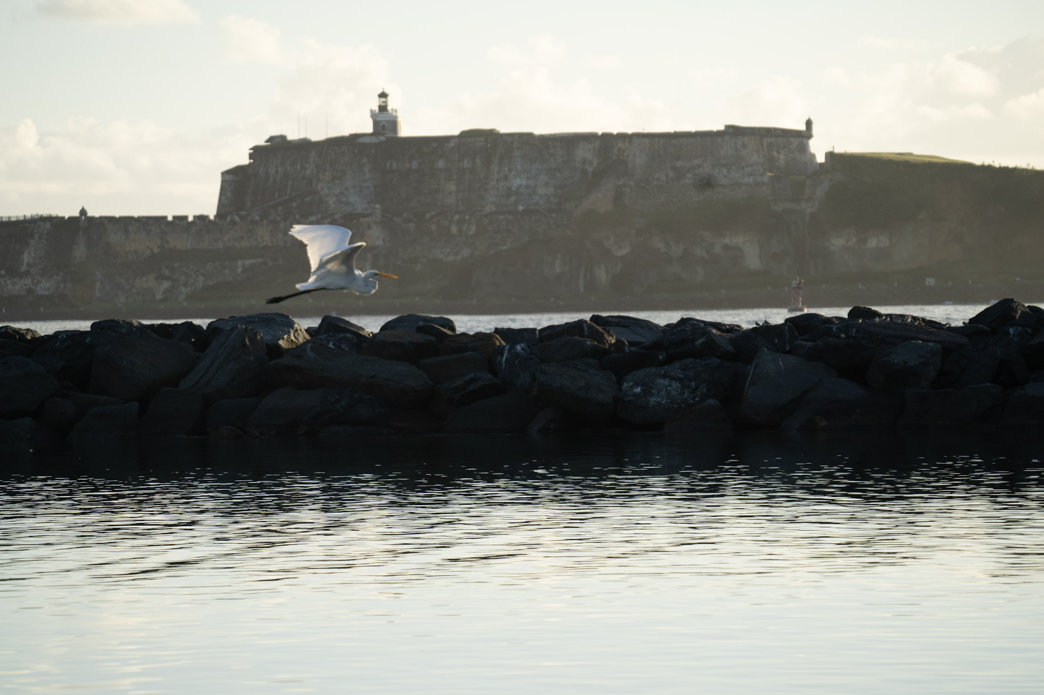 Isla de Cabras - foto 182