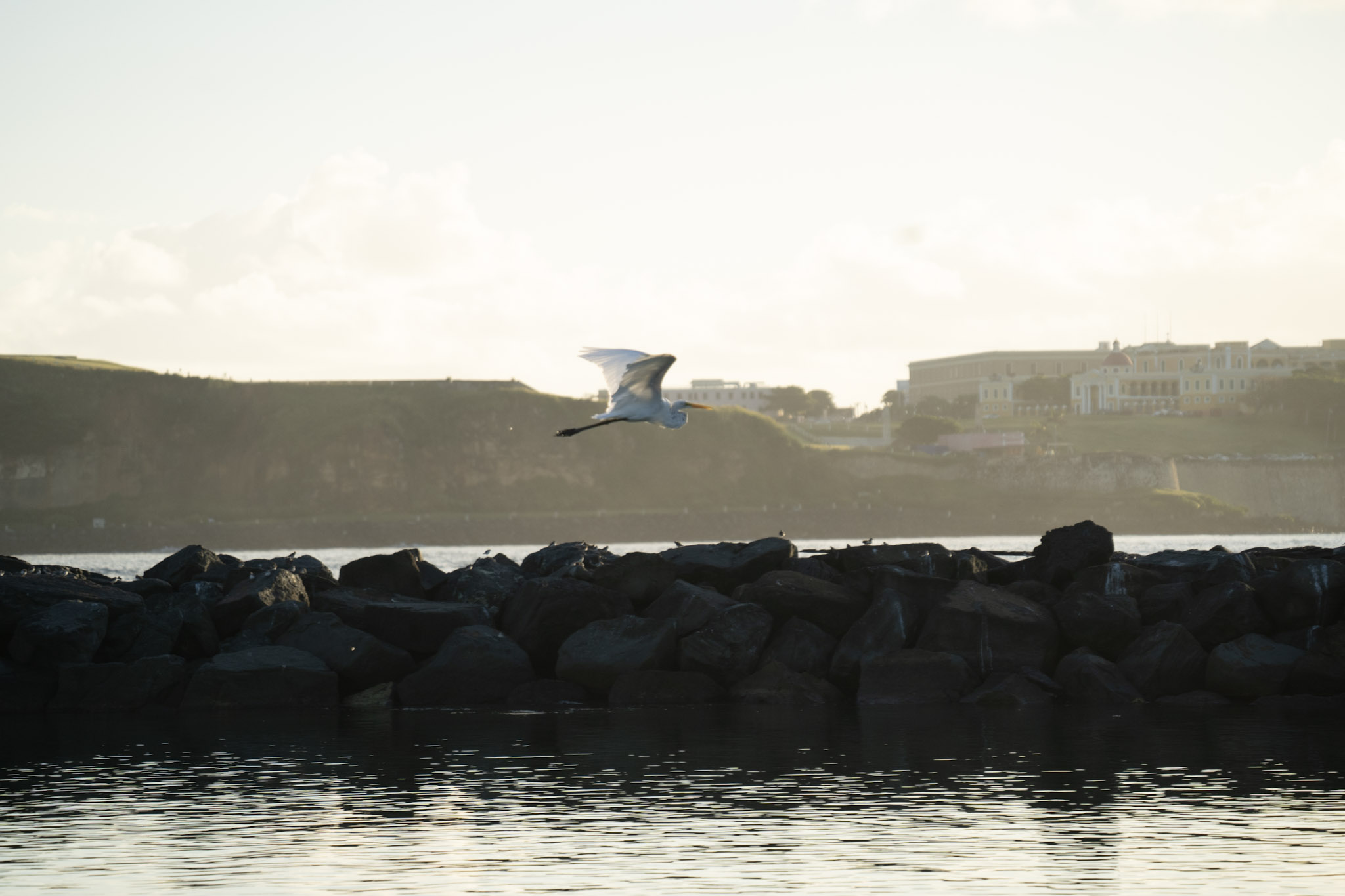 Isla de Cabras - foto 183