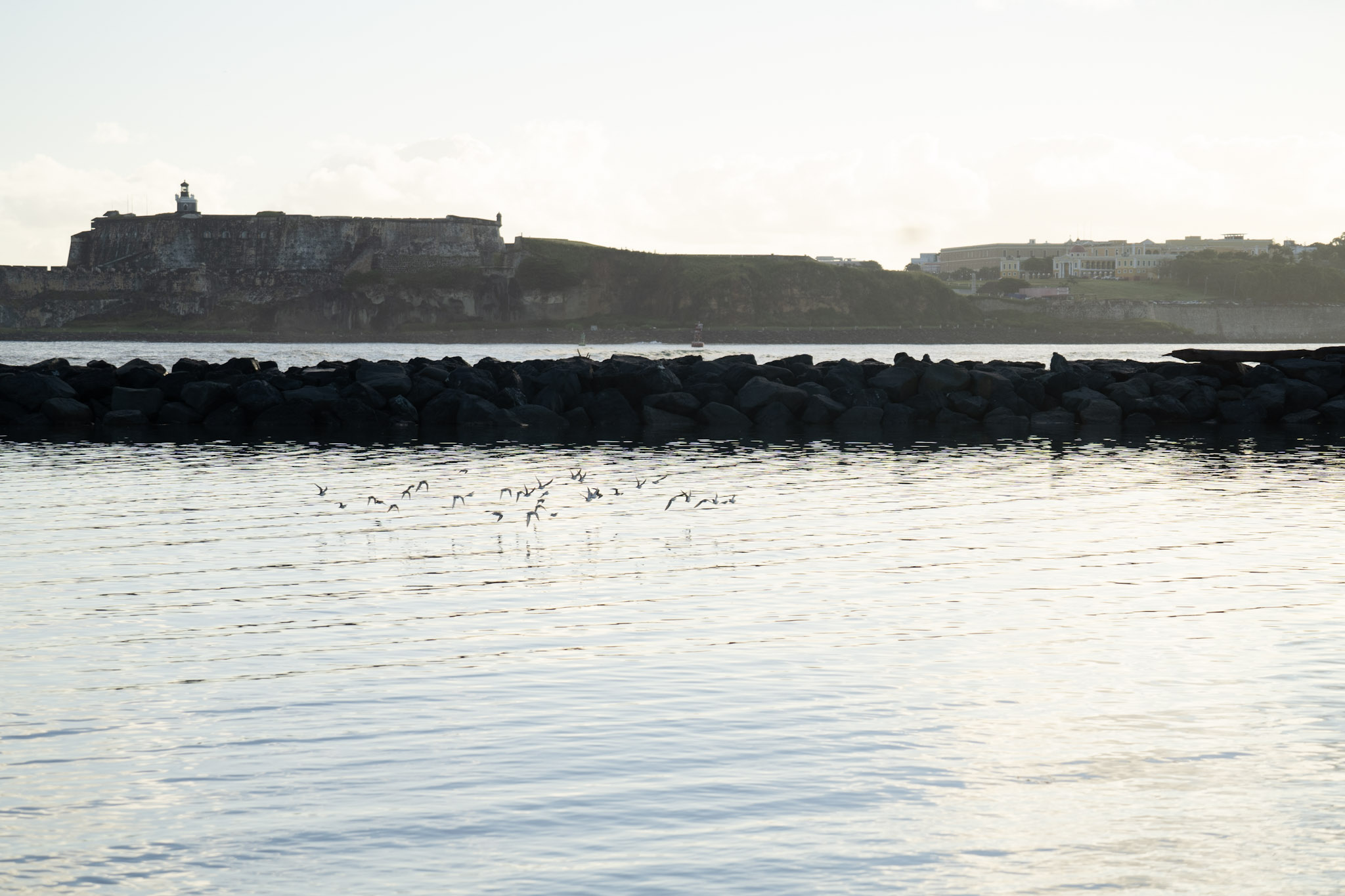 Isla de Cabras - foto 191