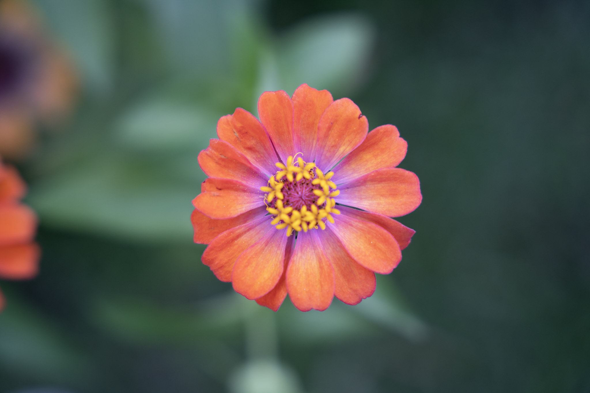 2021-12-22_Guaynabo - foto 9