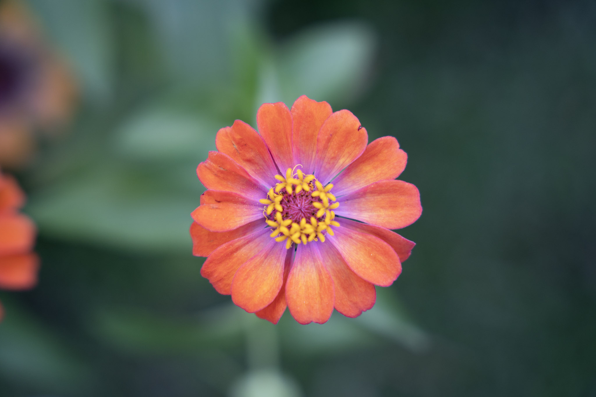 2021-12-22_Guaynabo - foto 10