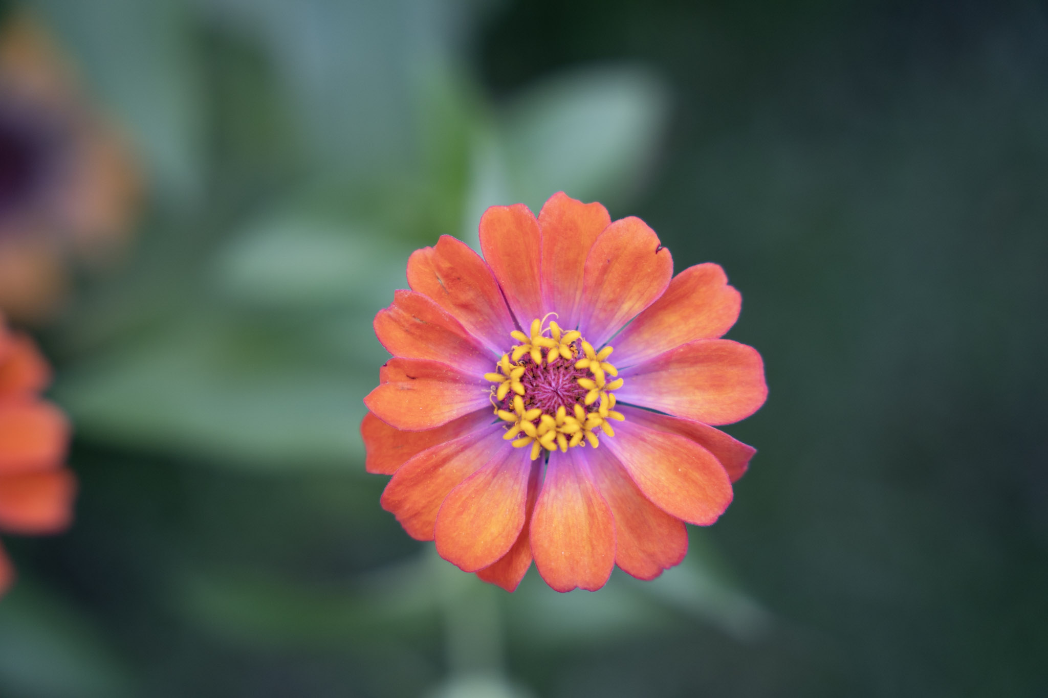 2021-12-22_Guaynabo - foto 12