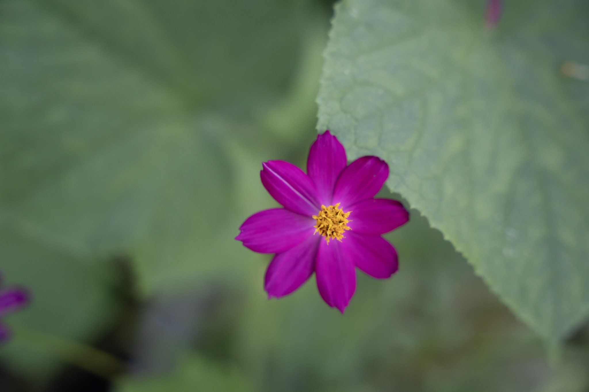 2021-12-22_Guaynabo - foto 13