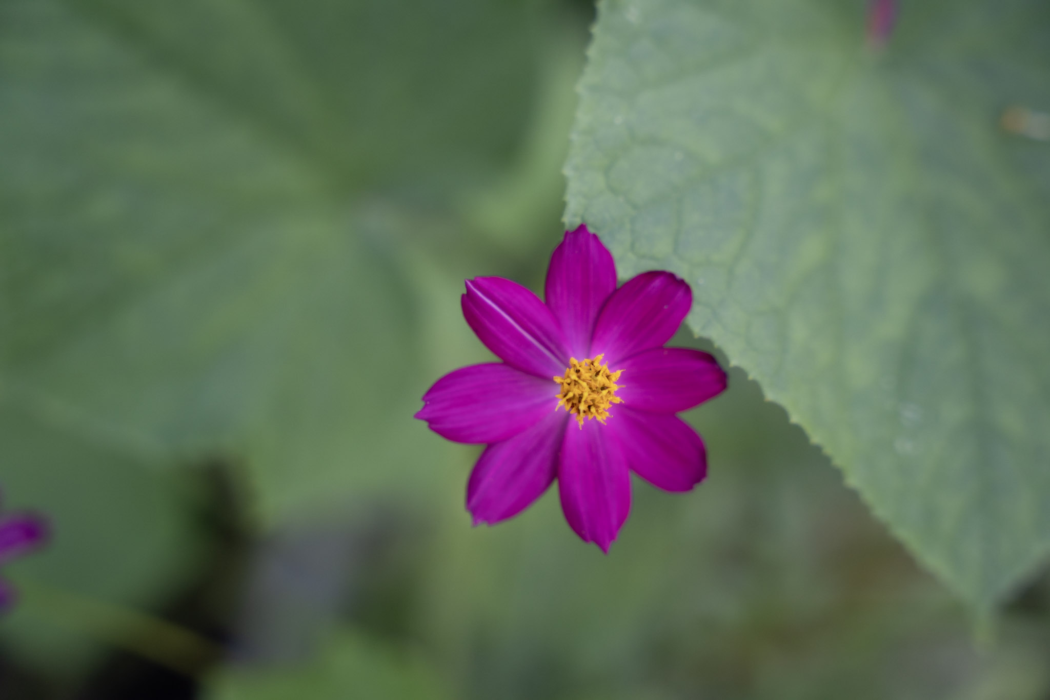 2021-12-22_Guaynabo - foto 14