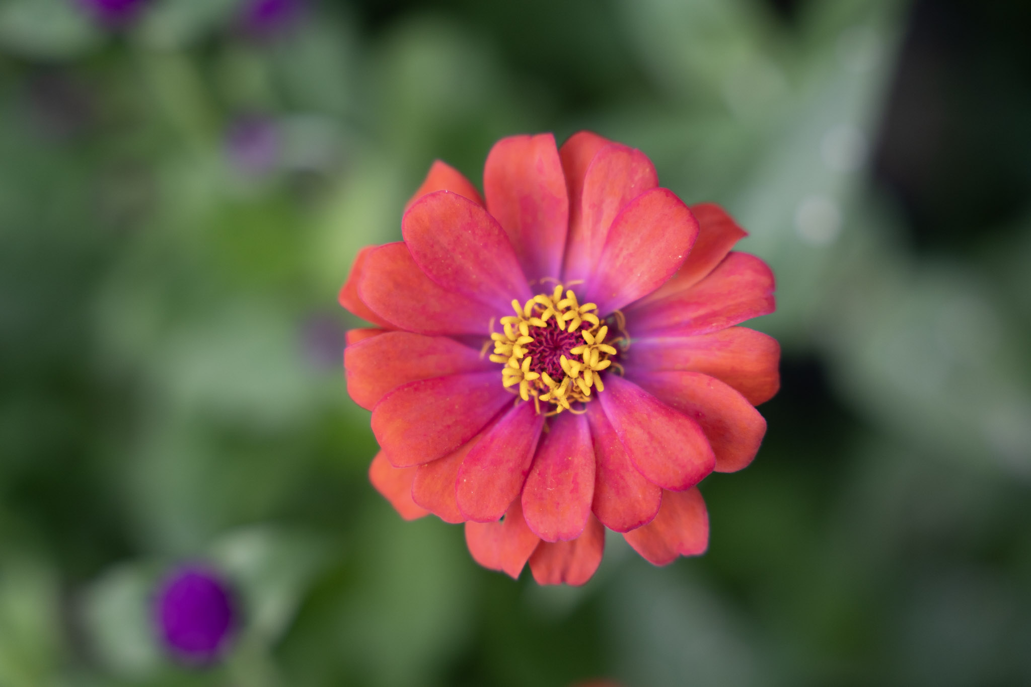 2021-12-22_Guaynabo - foto 15