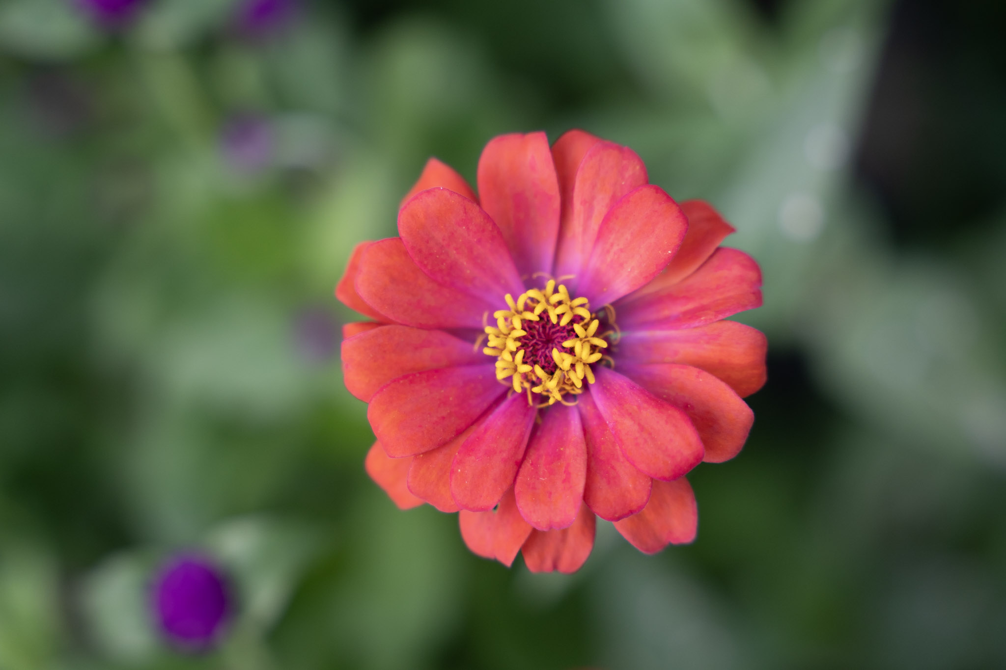 2021-12-22_Guaynabo - foto 16