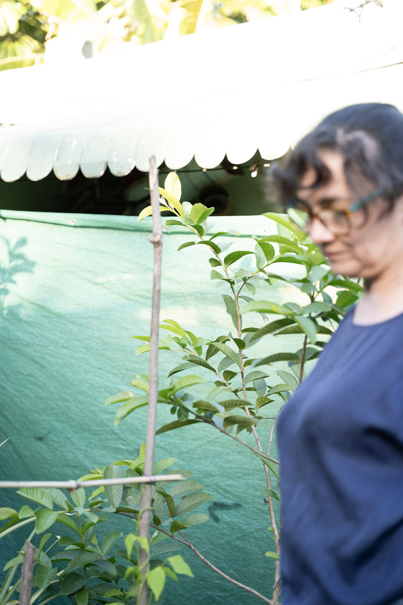 2021-12-22_Guaynabo - foto 19