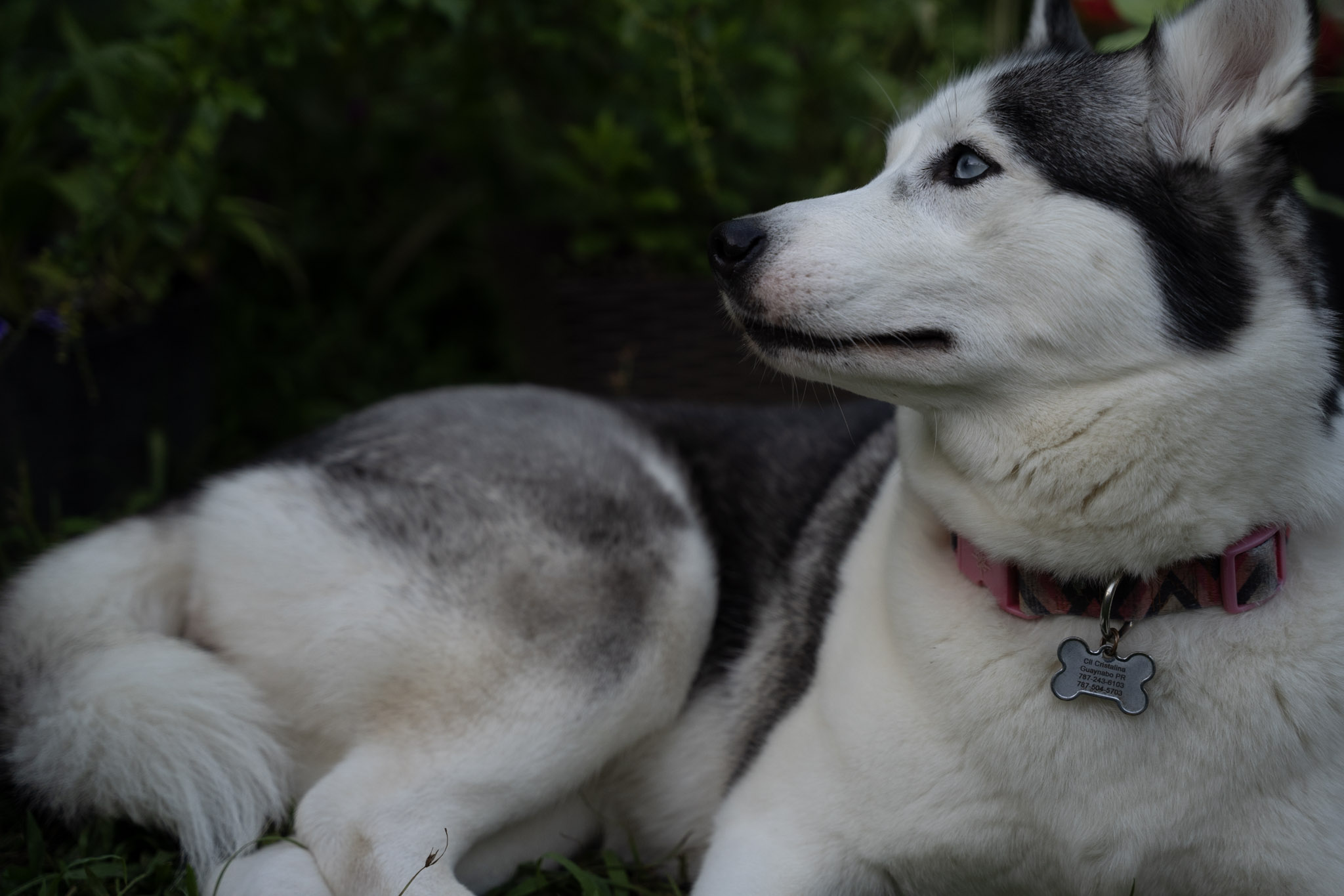 2021-12-22_Guaynabo - foto 26