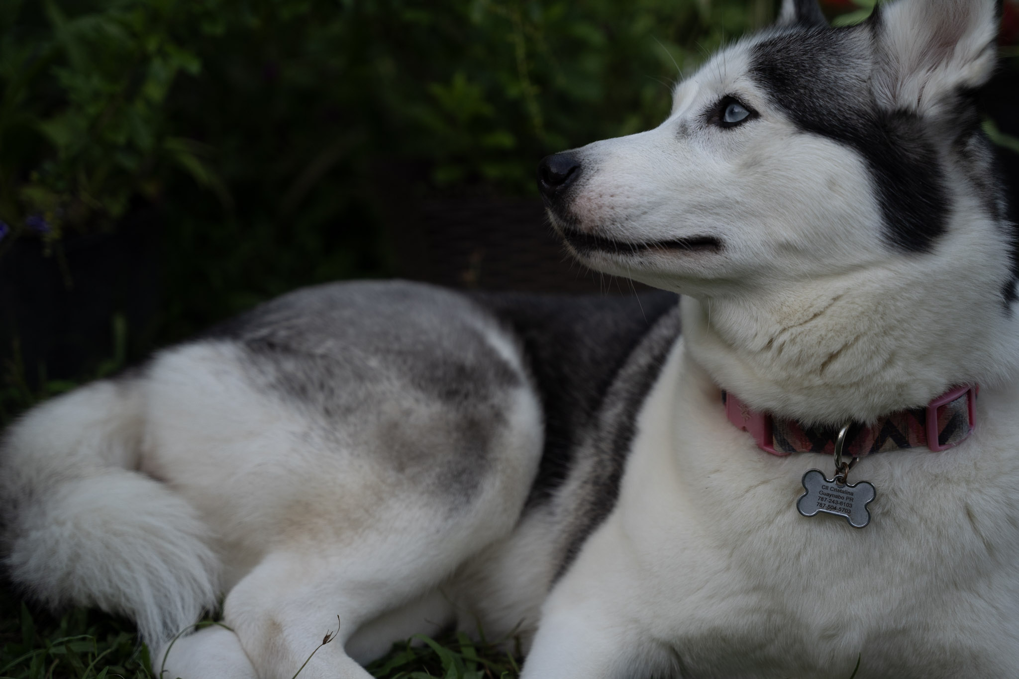 2021-12-22_Guaynabo - foto 27