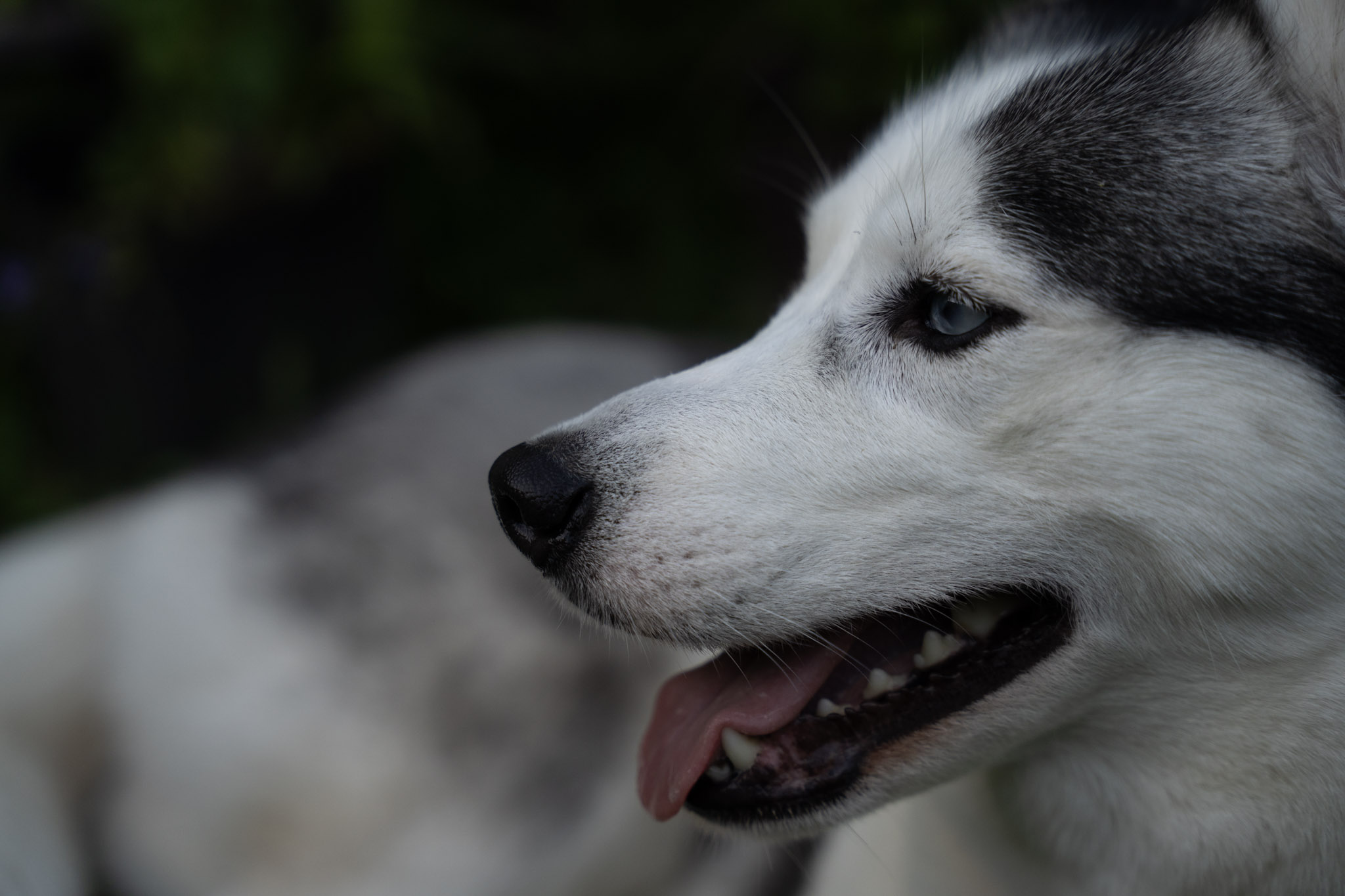 2021-12-22_Guaynabo - foto 28