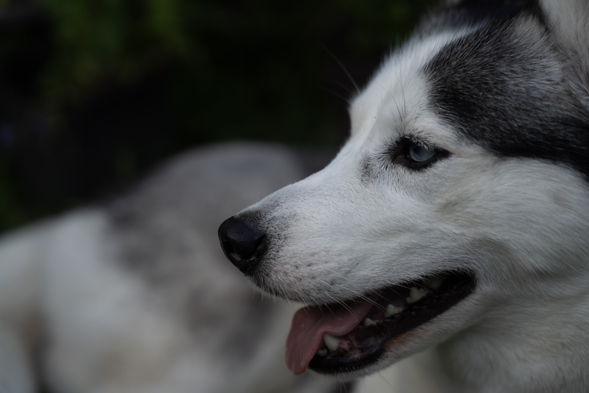 2021-12-22_Guaynabo - foto 29