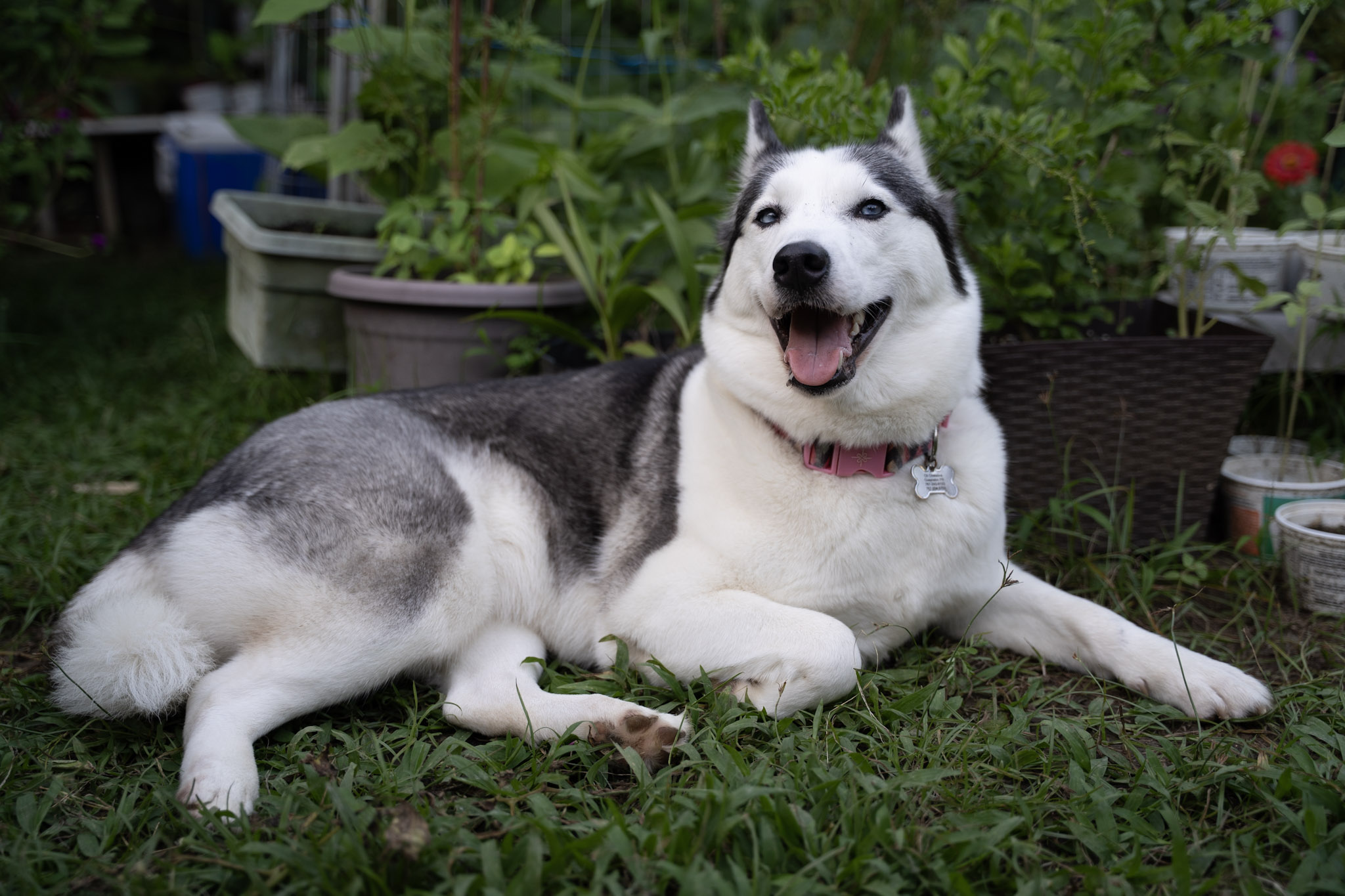 2021-12-22_Guaynabo - foto 32