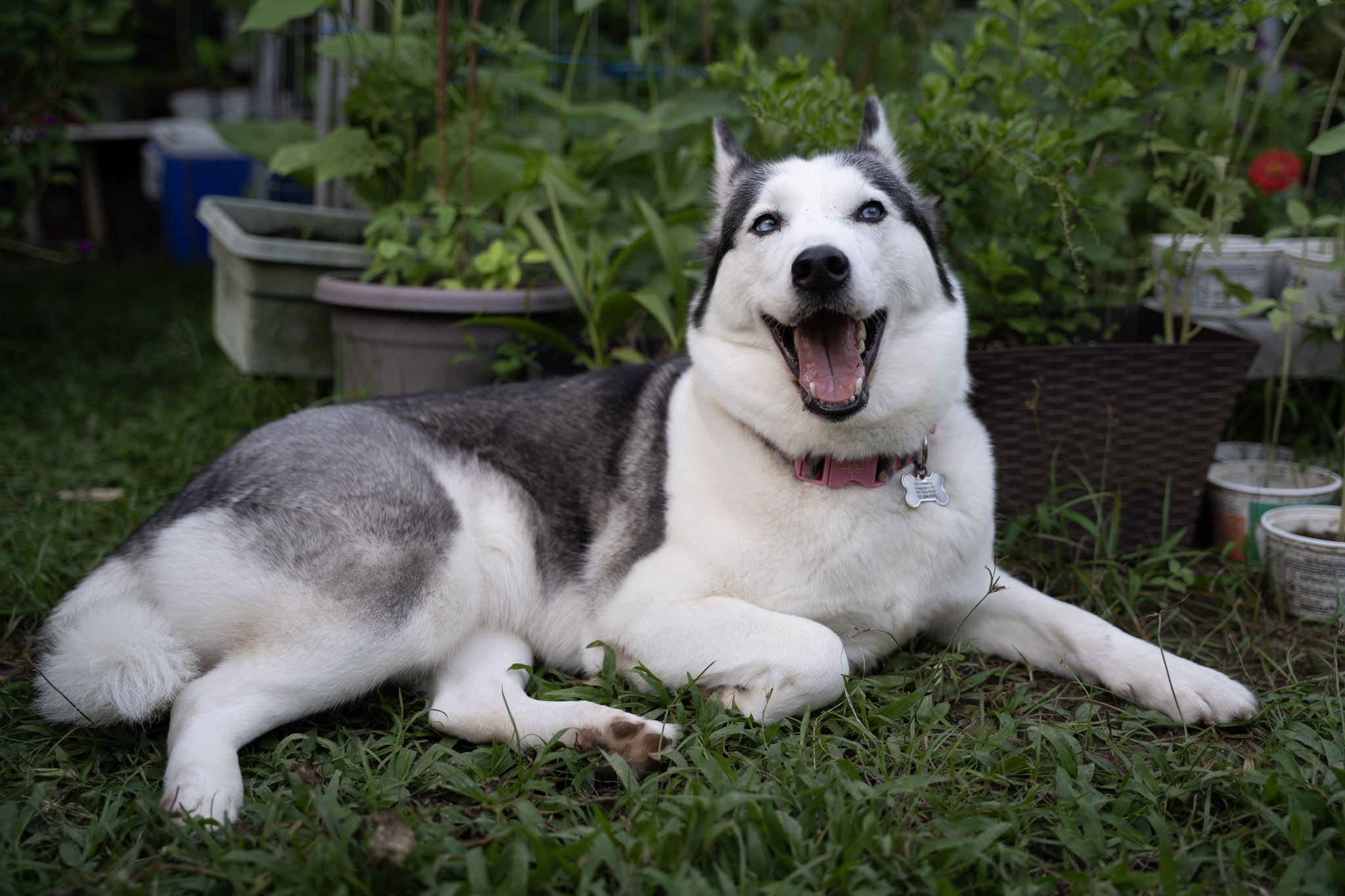 2021-12-22_Guaynabo - foto 33