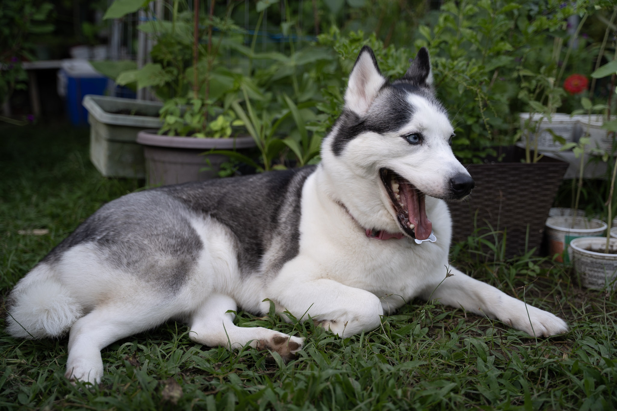 2021-12-22_Guaynabo - foto 34