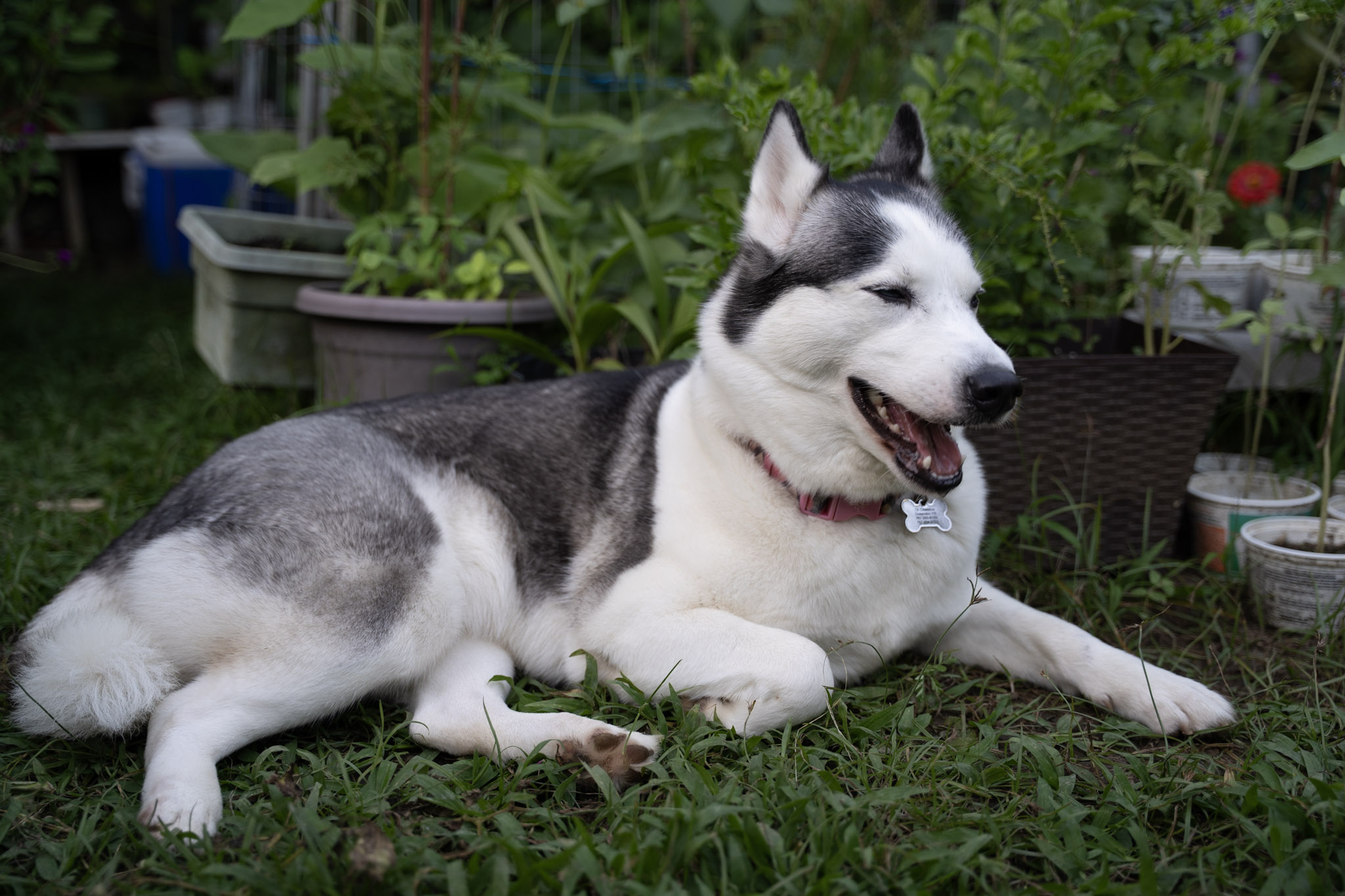 2021-12-22_Guaynabo - foto 35