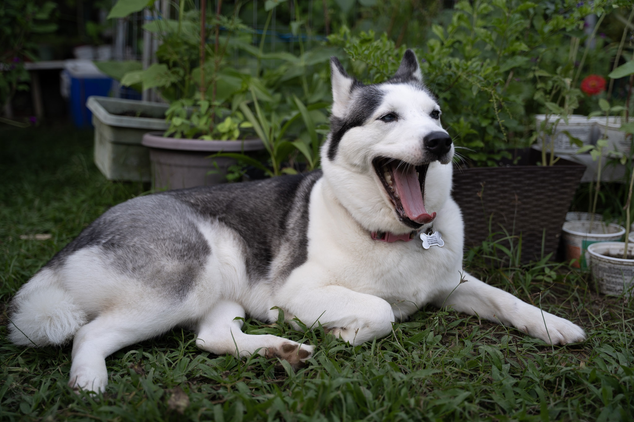 2021-12-22_Guaynabo - foto 36