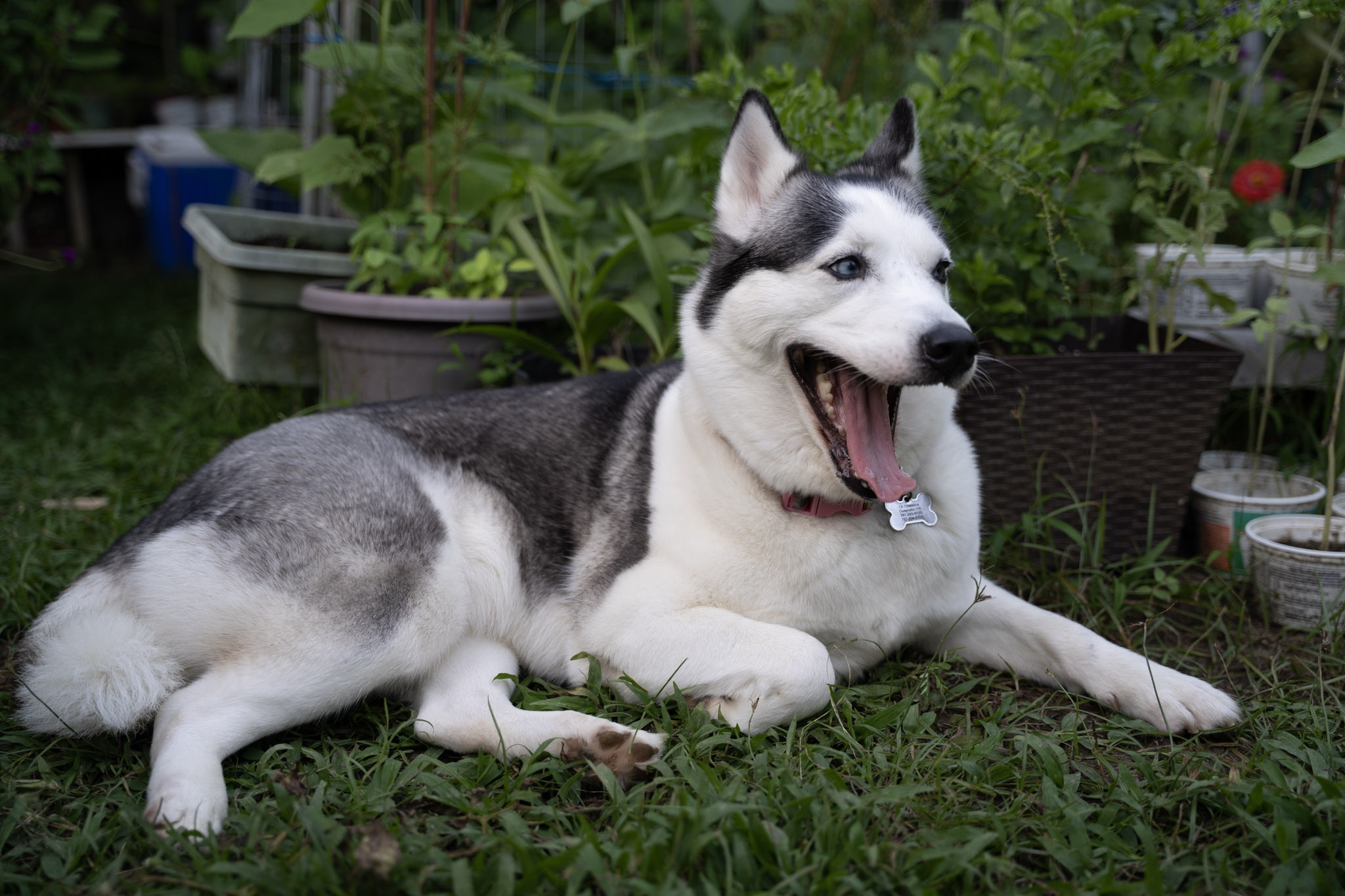 2021-12-22_Guaynabo - foto 37