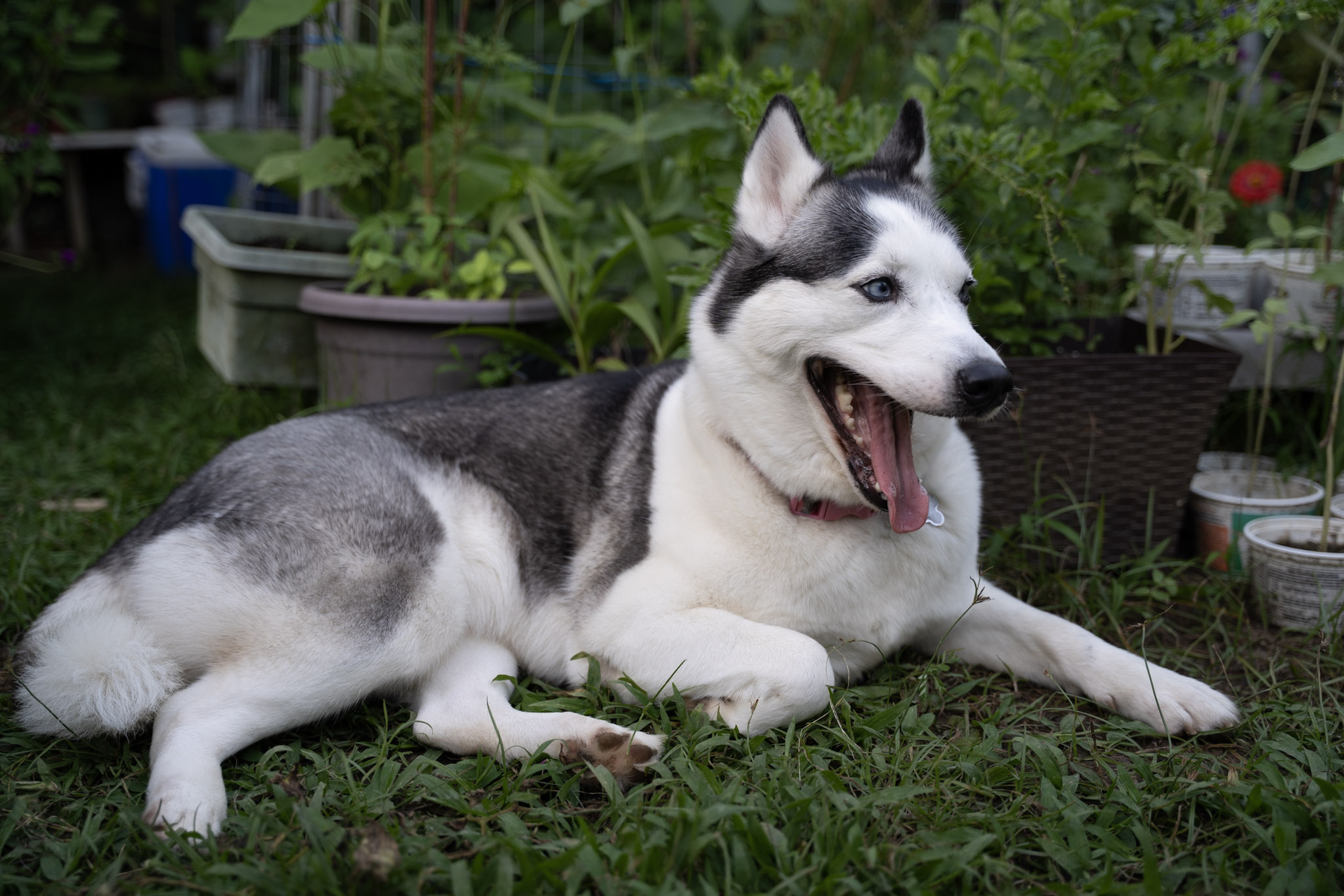 2021-12-22_Guaynabo - foto 38