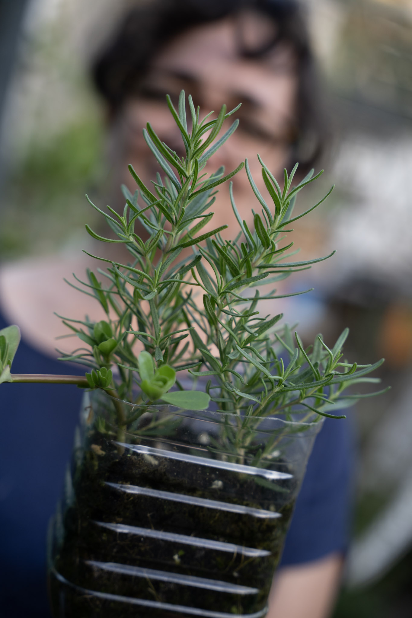 2021-12-22_Guaynabo - foto 39