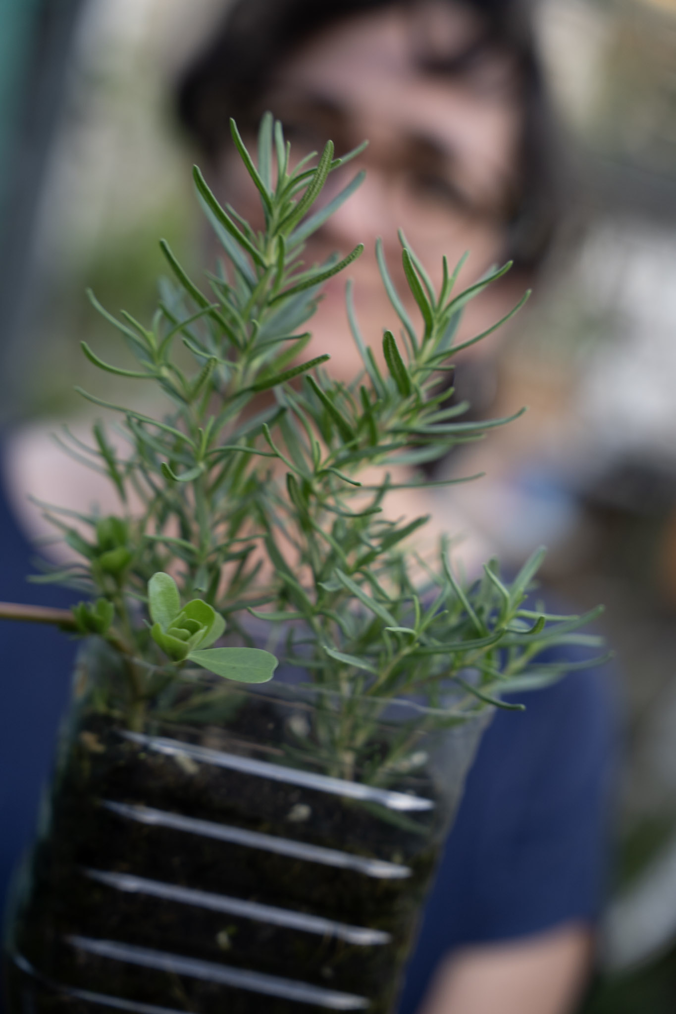 2021-12-22_Guaynabo - foto 40