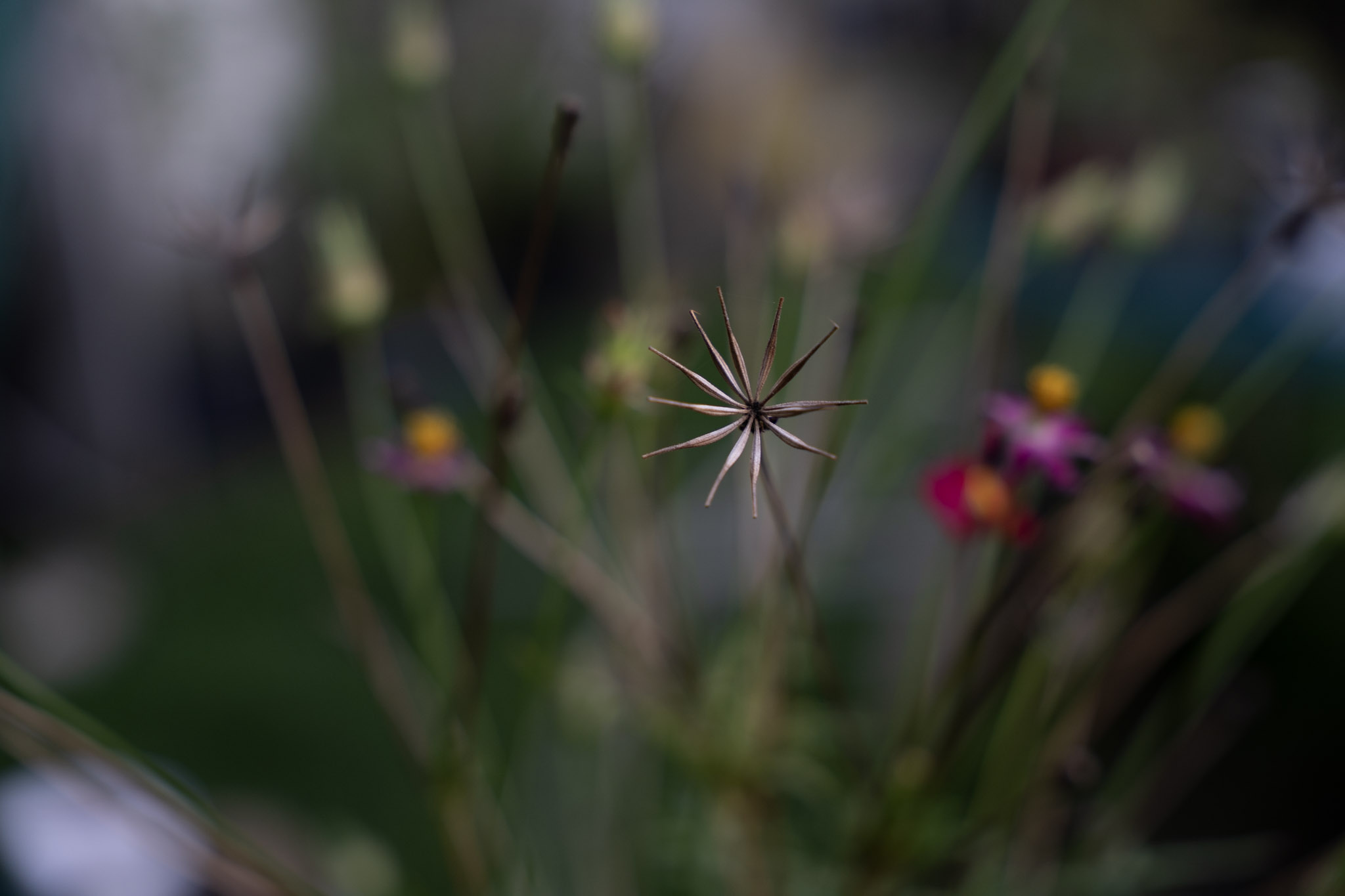 2021-12-22_Guaynabo - foto 47