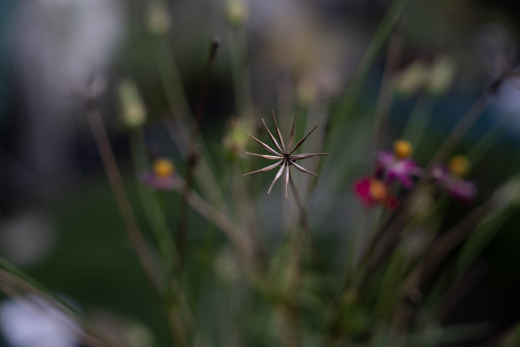 2021-12-22_Guaynabo - foto 48