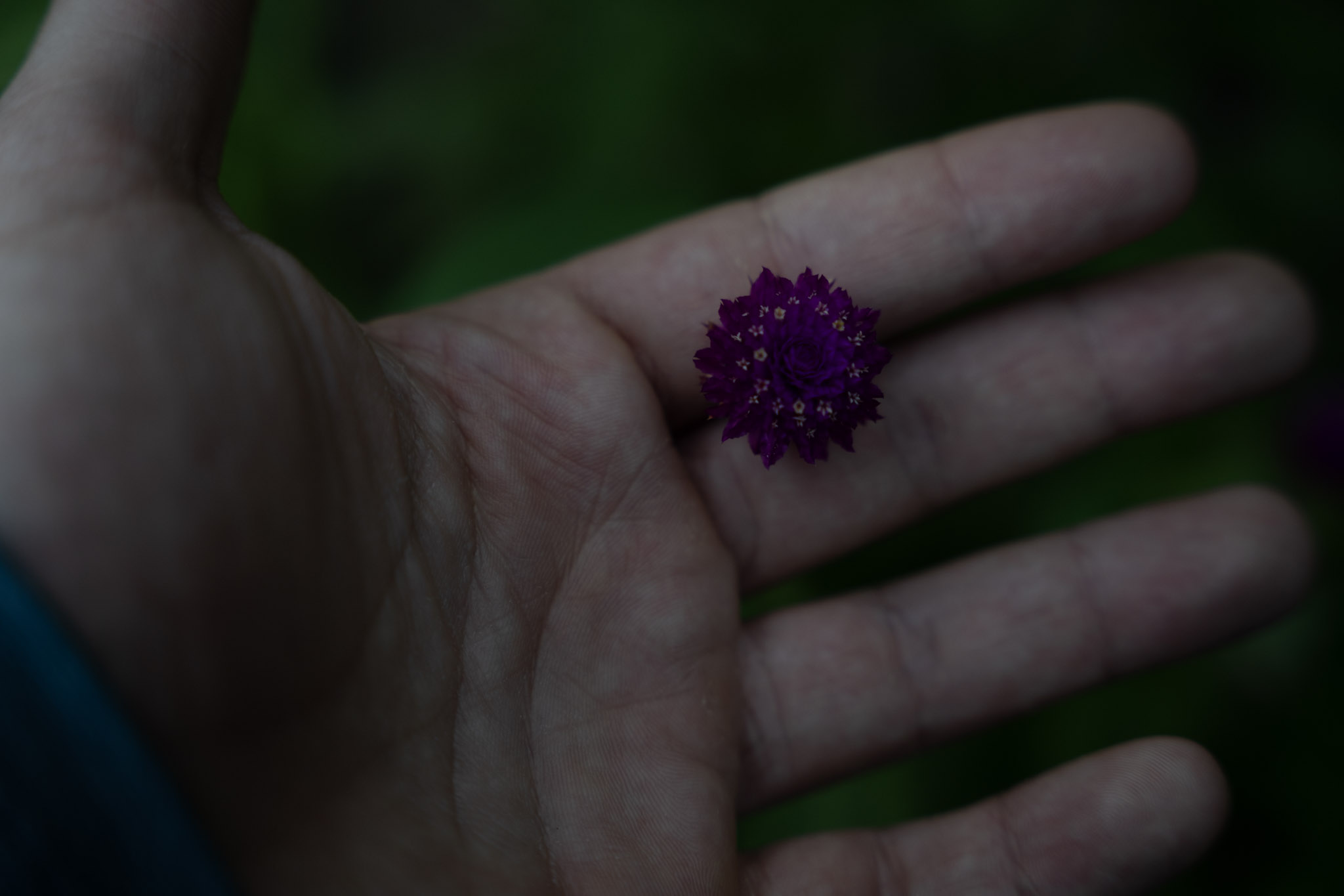 2021-12-22_Guaynabo - foto 49