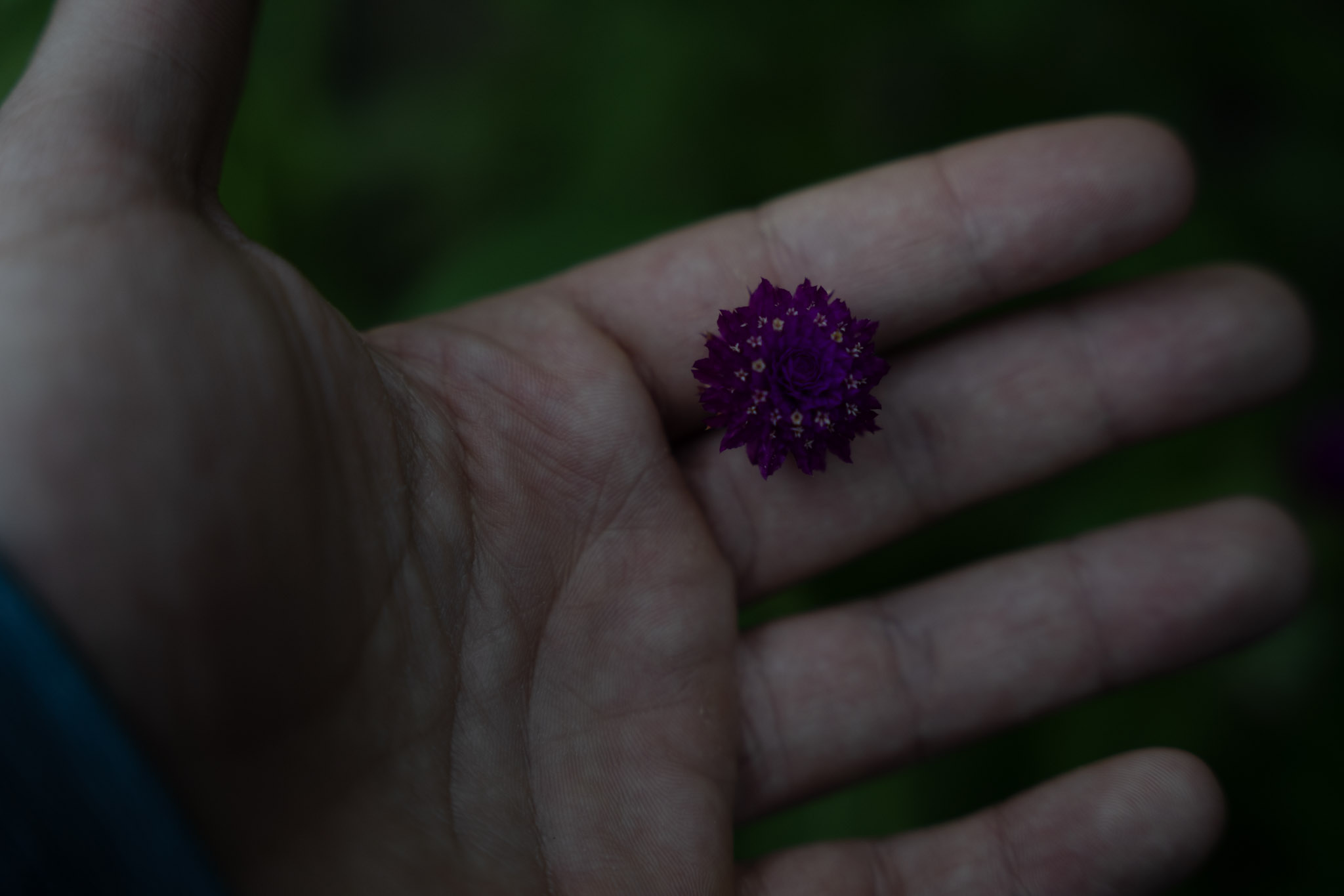 2021-12-22_Guaynabo - foto 50