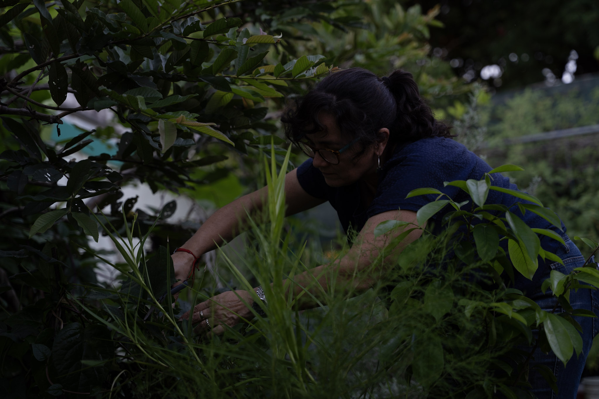 2021-12-22_Guaynabo - foto 51