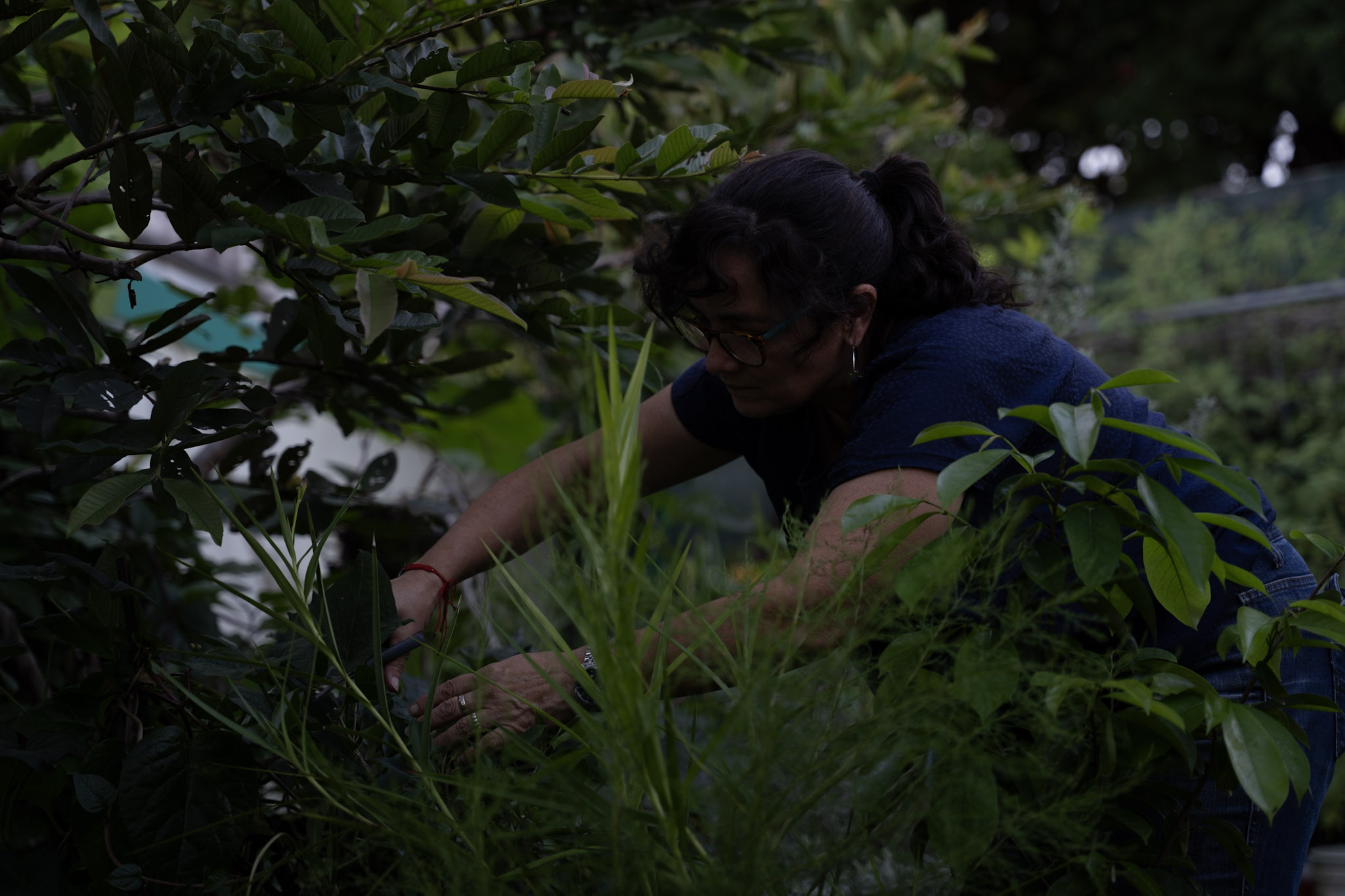 2021-12-22_Guaynabo - foto 52