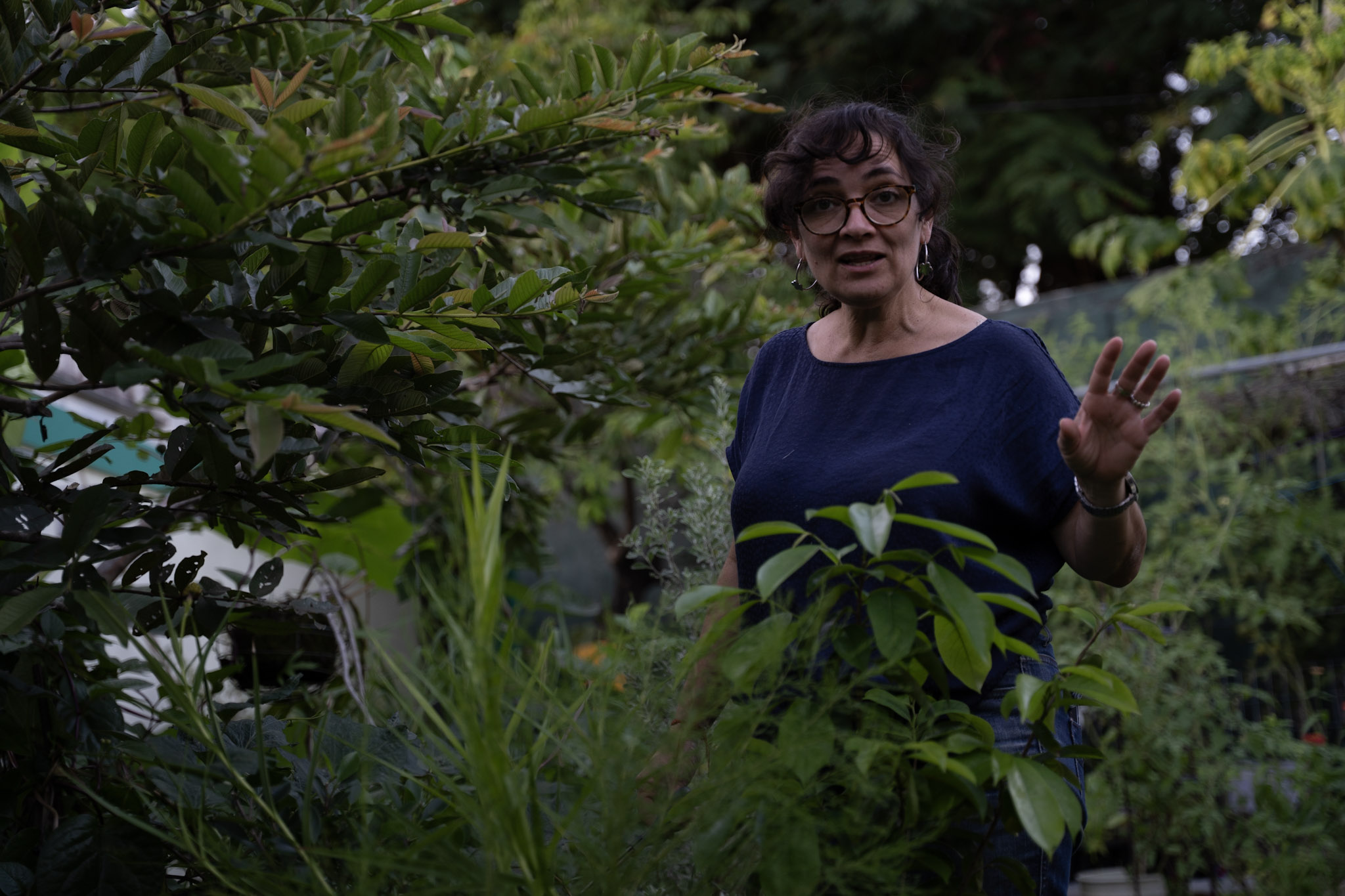 2021-12-22_Guaynabo - foto 55