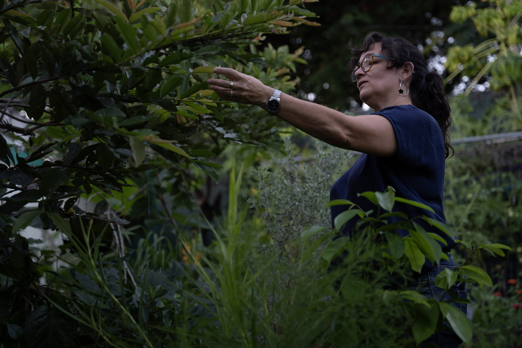 2021-12-22_Guaynabo - foto 57