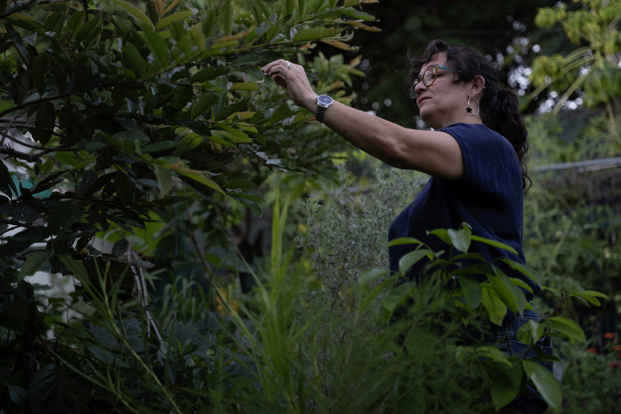 2021-12-22_Guaynabo - foto 58