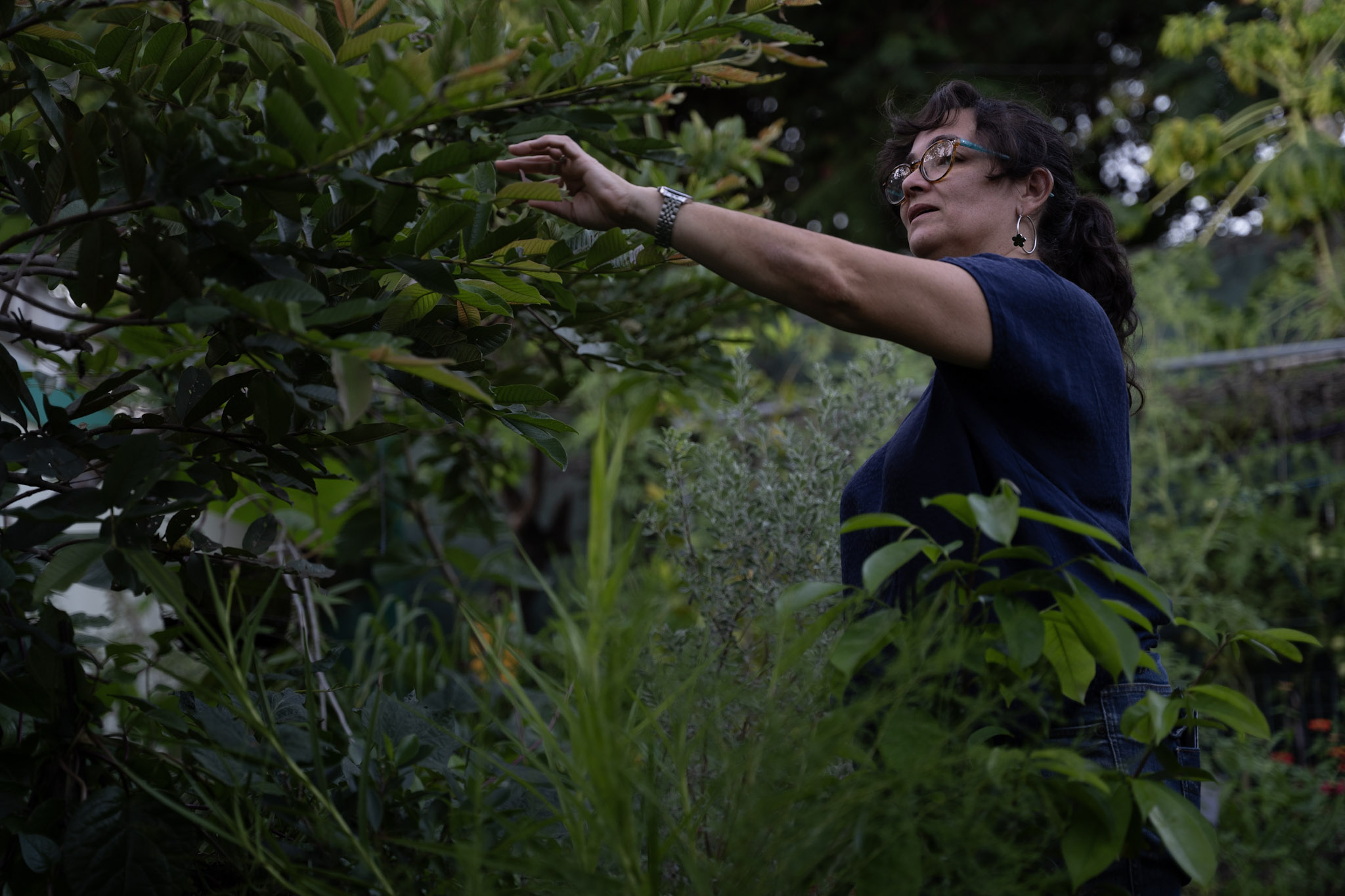 2021-12-22_Guaynabo - foto 59