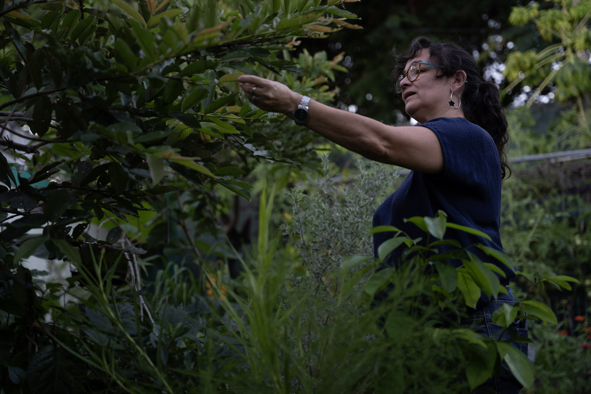 2021-12-22_Guaynabo - foto 60